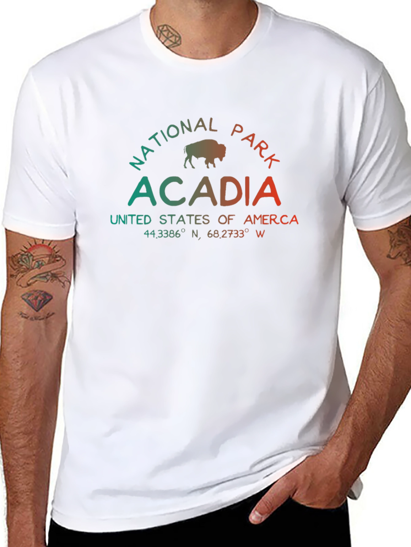 Acadia National Park Graphic T-Shirt