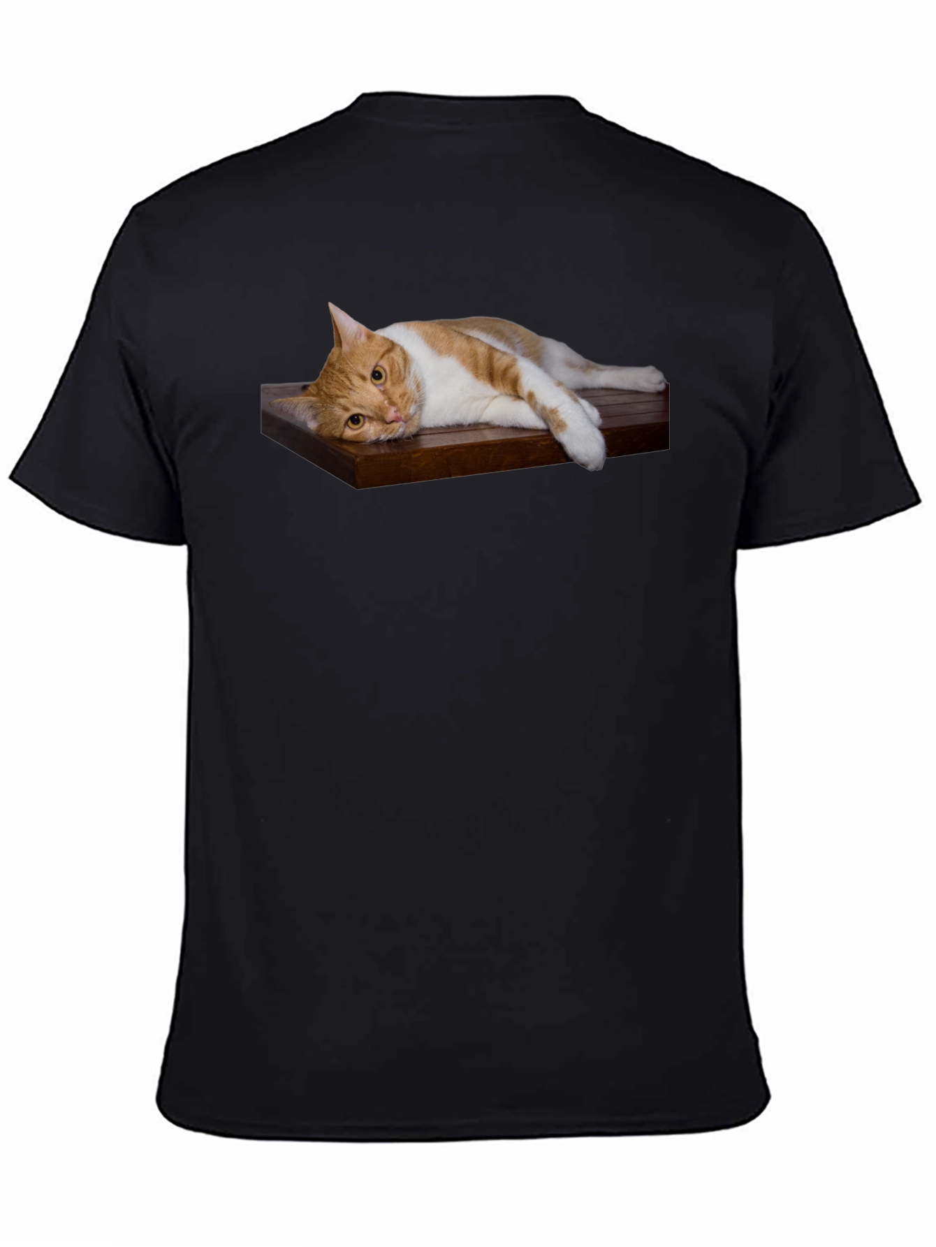 Cat on Wood Shelf Graphic Tee