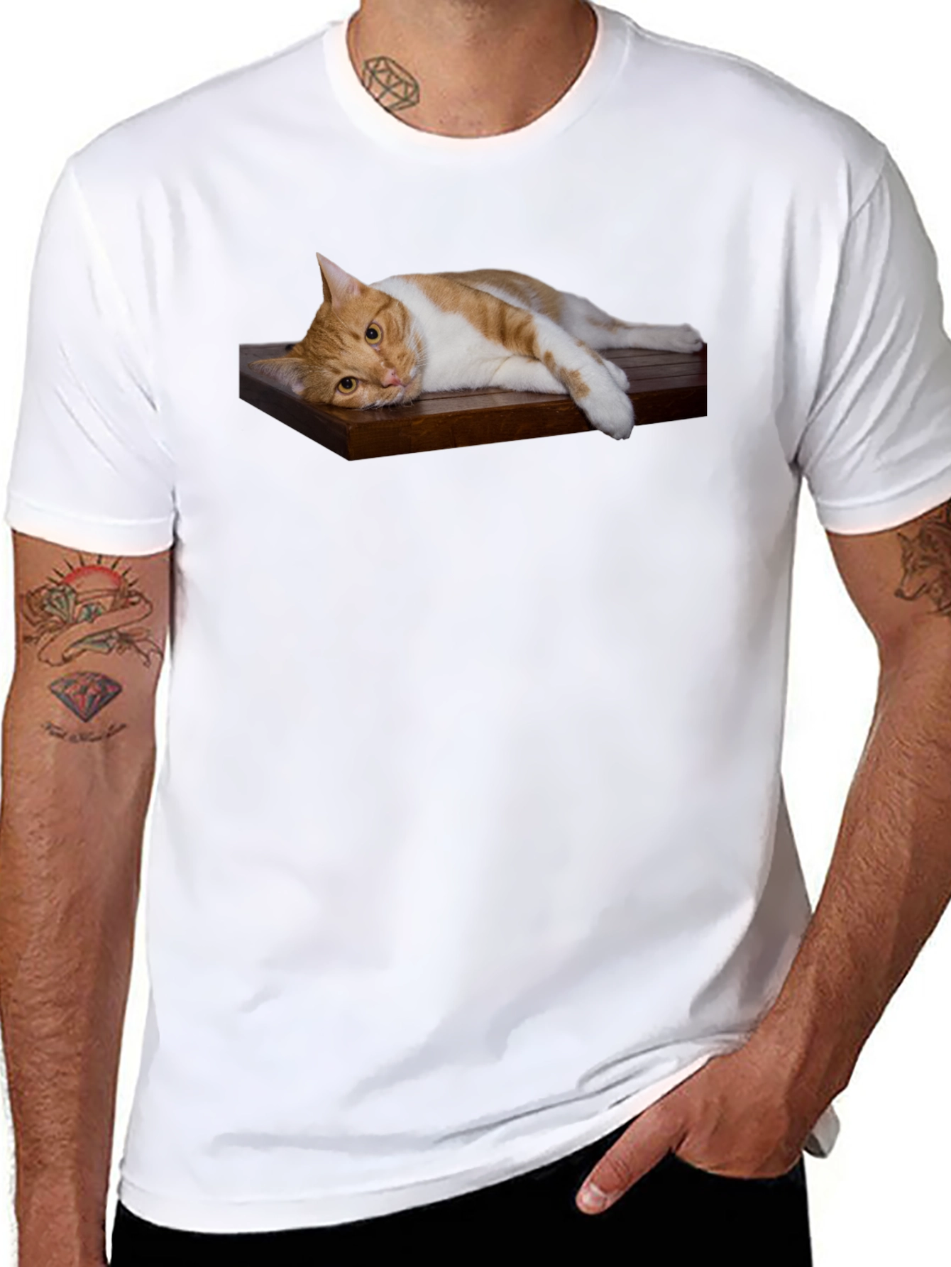 Cat on Wood Shelf Graphic Tee