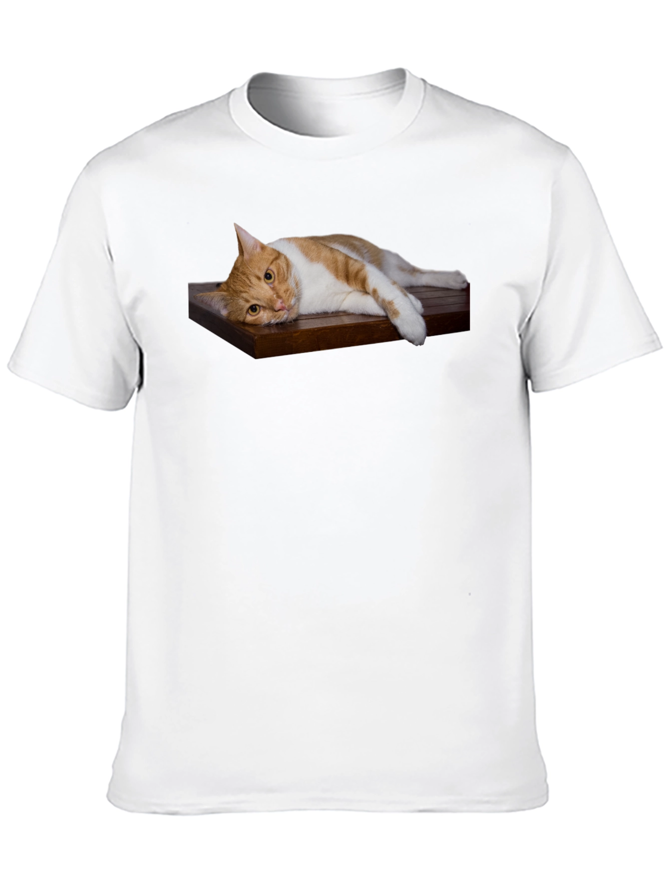 Cat on Wood Shelf Graphic Tee