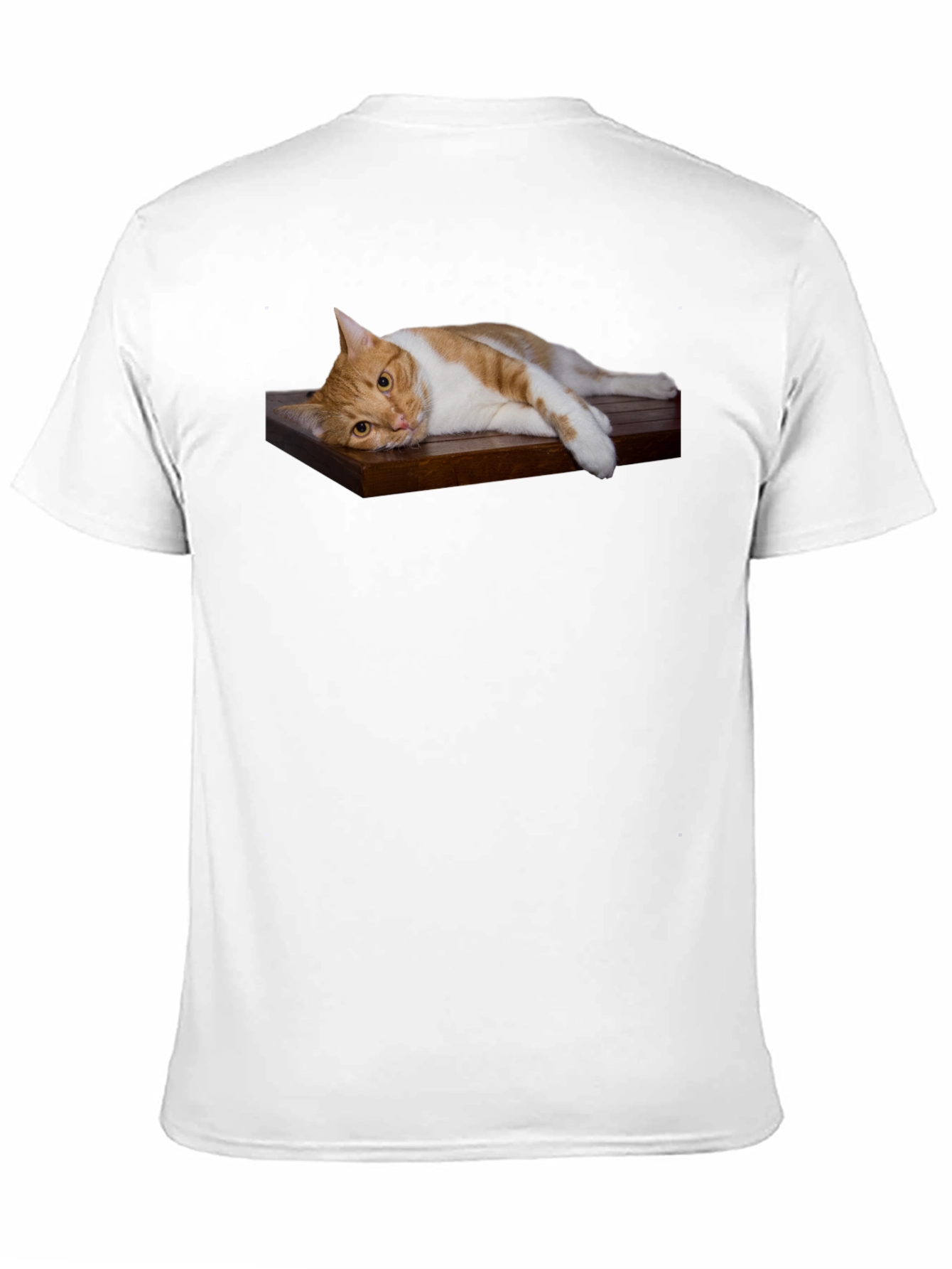 Cat on Wood Shelf Graphic Tee