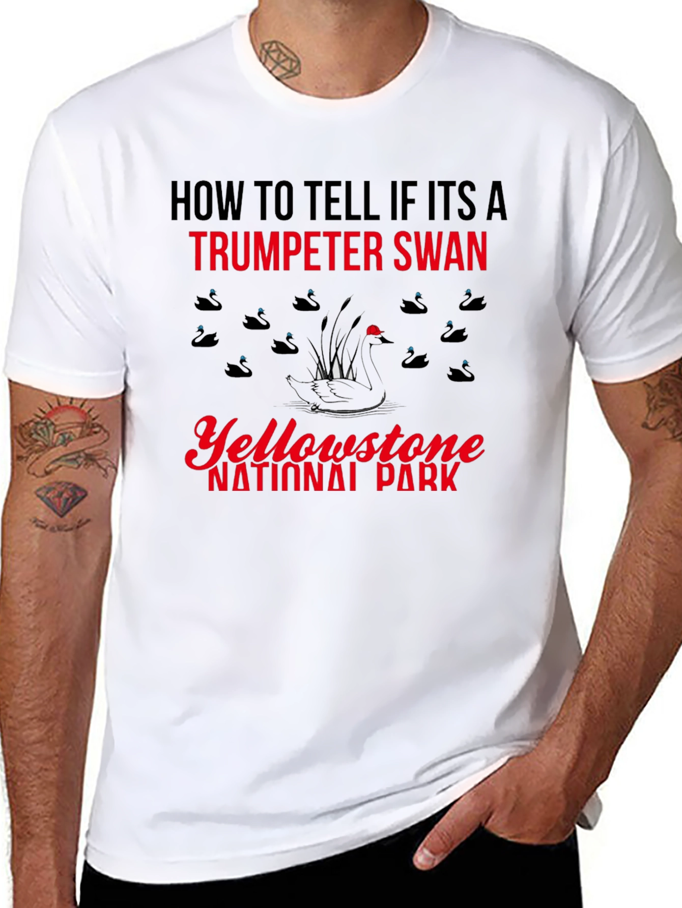 Yellowstone Trumpeter Swan T-Shirt