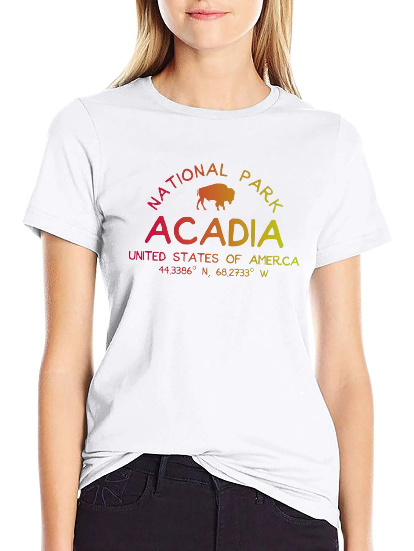 Acadia National Park T-Shirt - Gradient Graphic Tee
