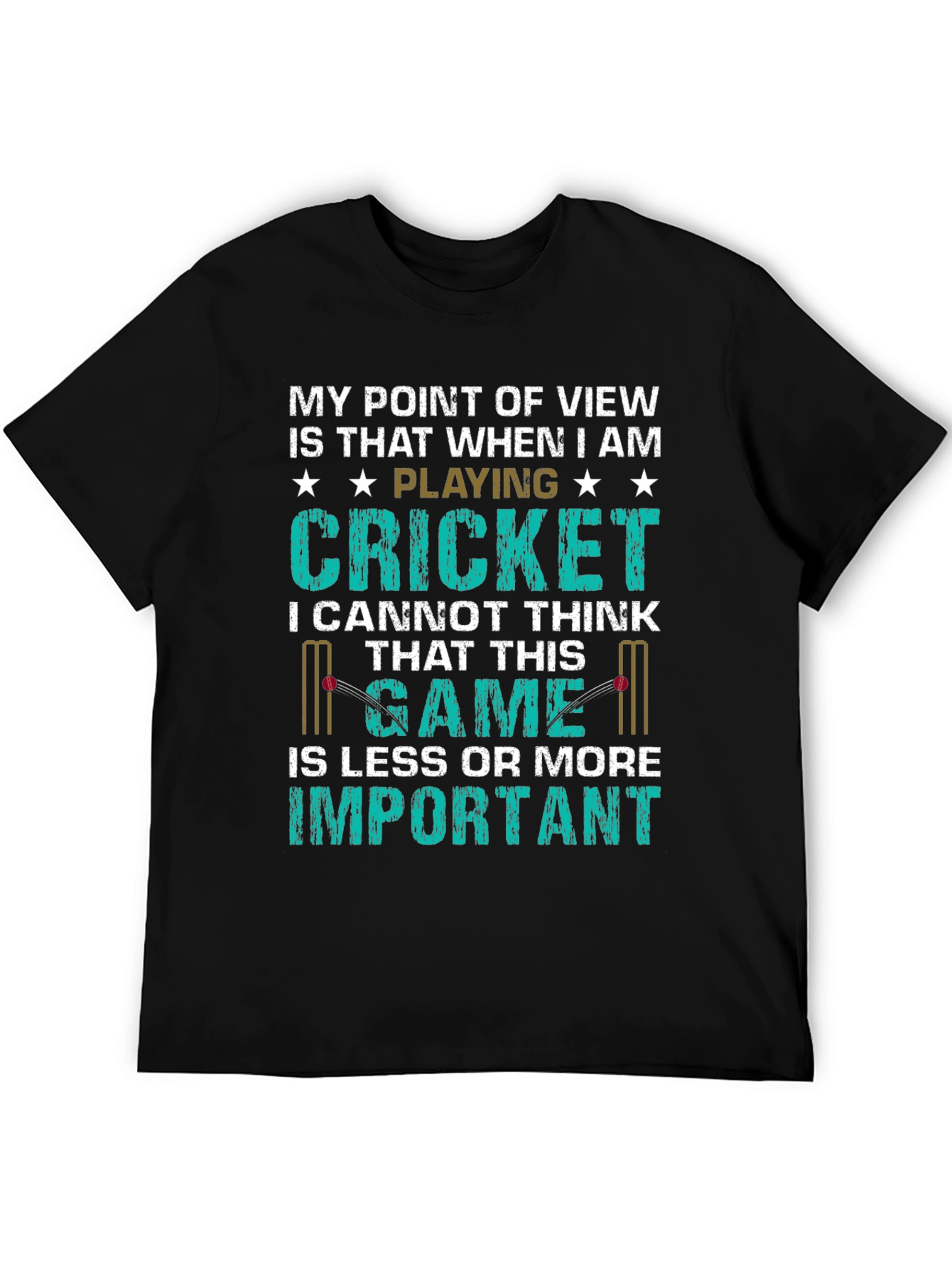 Cricket Lover T-Shirt - My Point of View