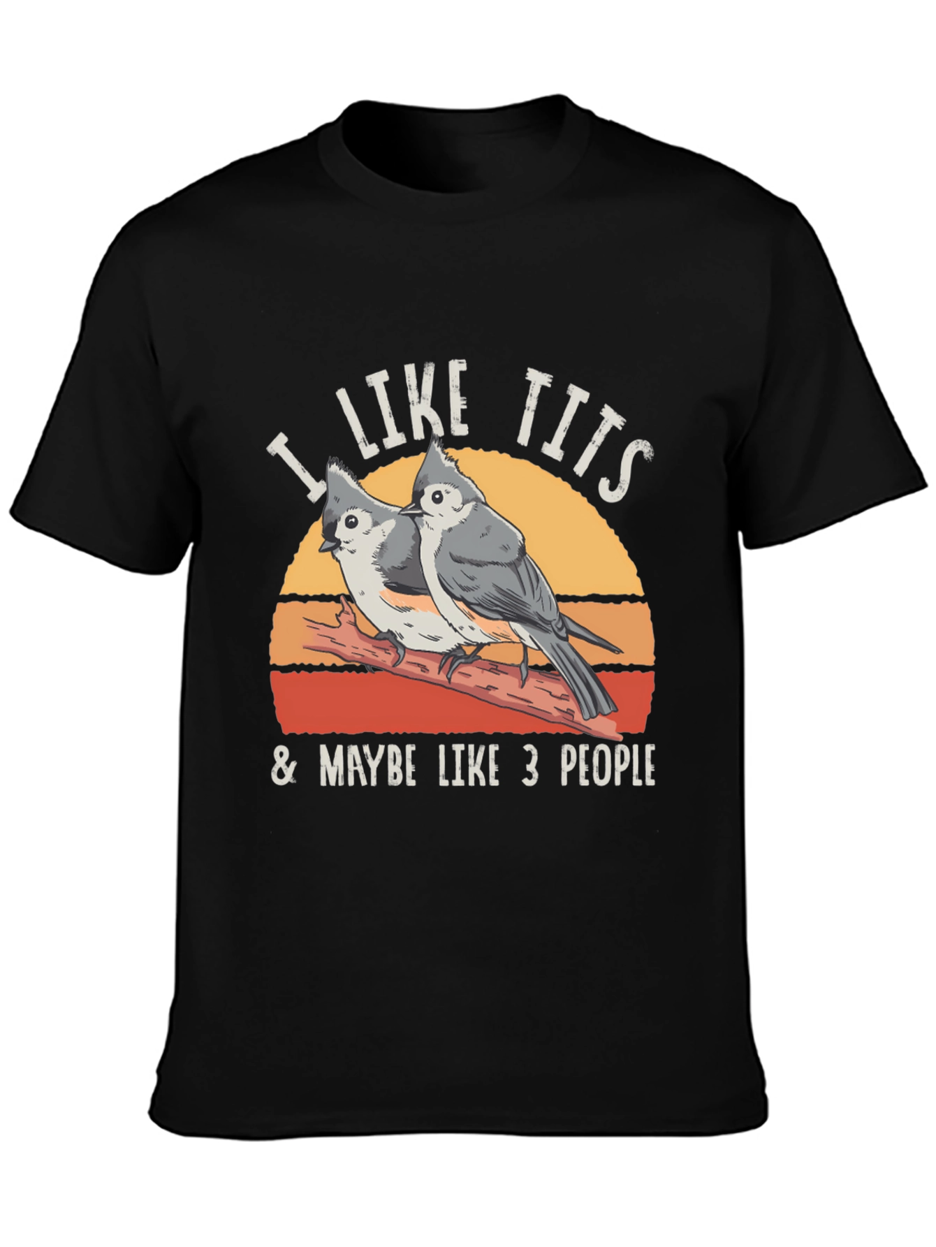 I Like Tits & Maybe Like 3 People T-Shirt