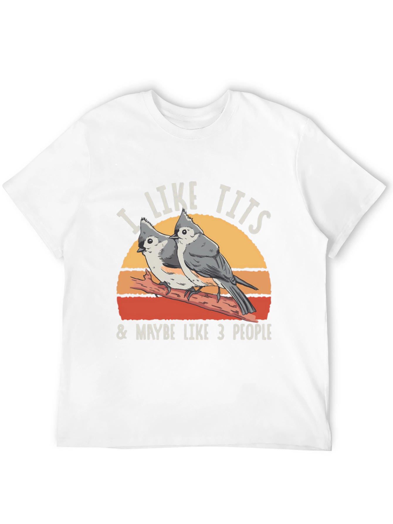 I Like Tits & Maybe Like 3 People T-Shirt
