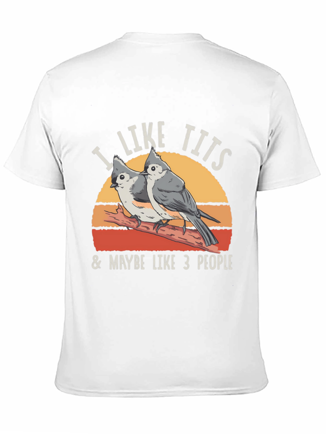I Like Tits & Maybe Like 3 People T-Shirt
