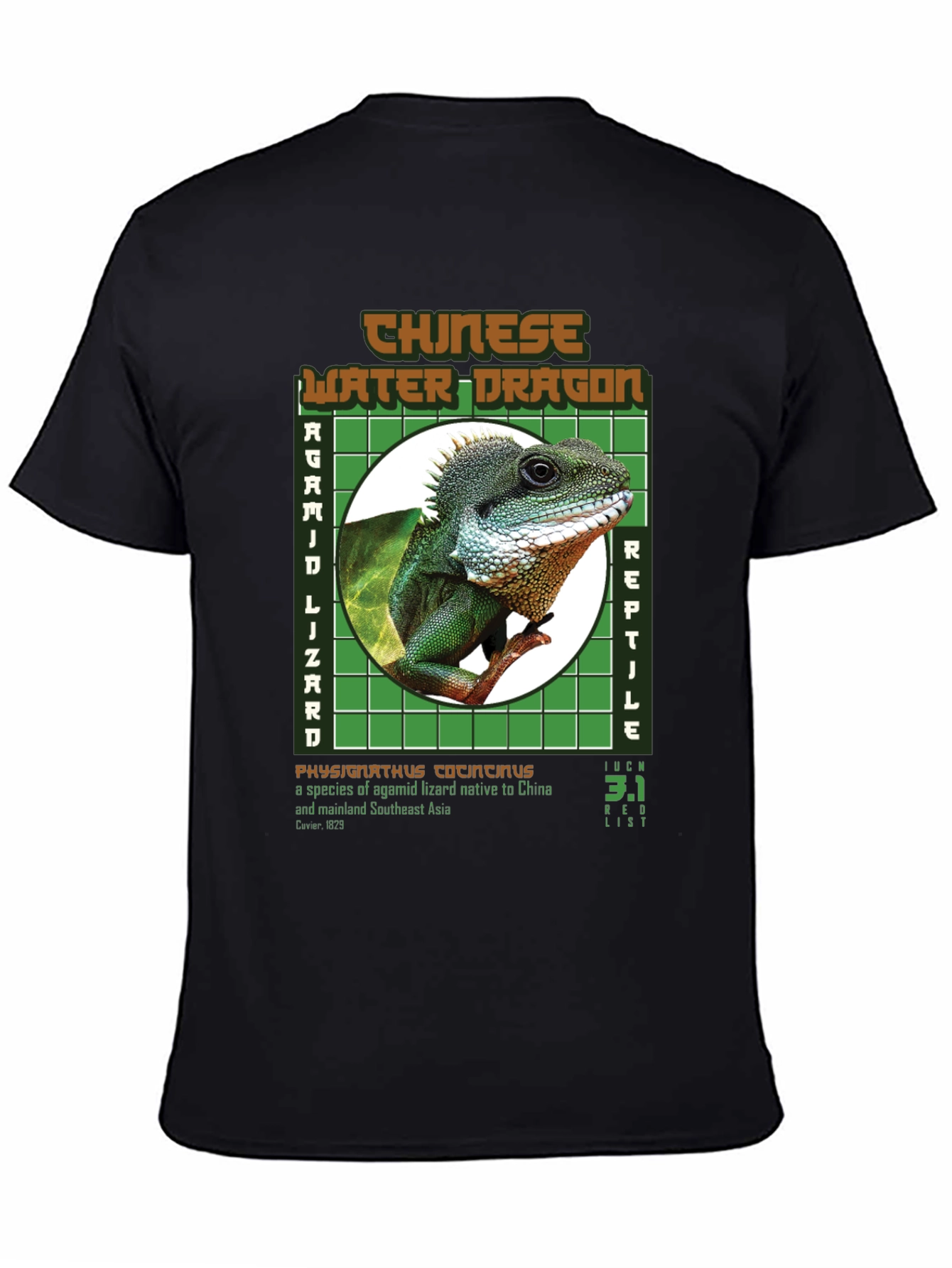 Chinese Water Dragon Graphic Tee