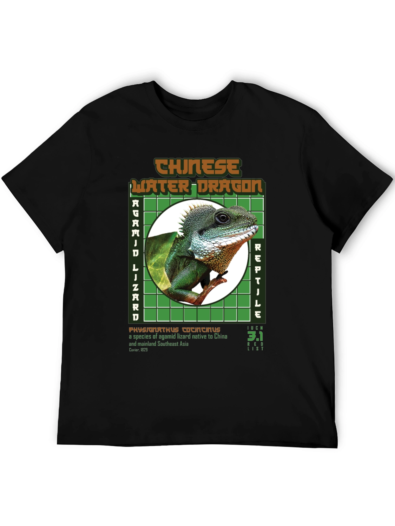 Chinese Water Dragon Graphic Tee