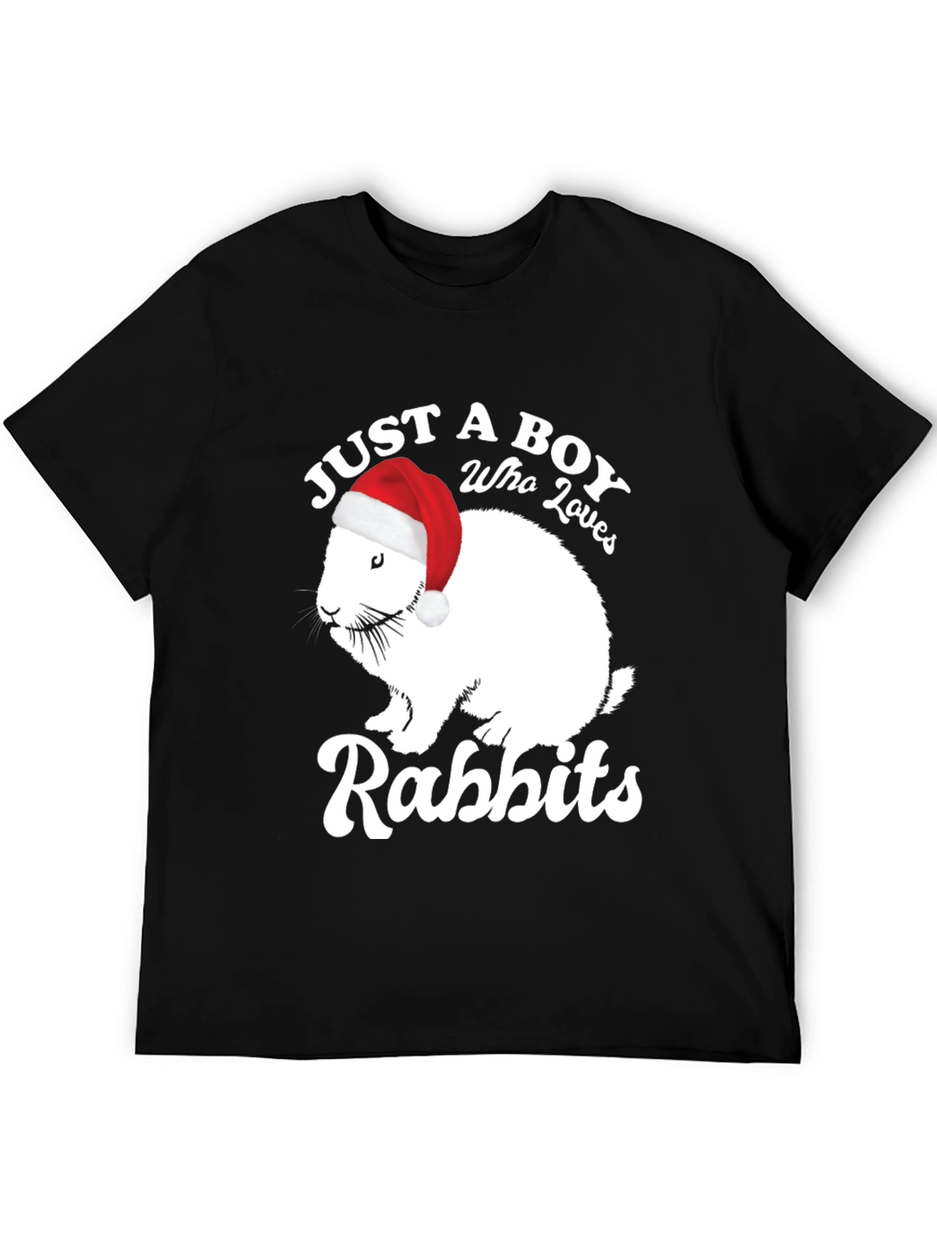 Just a Boy Who Loves Rabbits Christmas T-Shirt