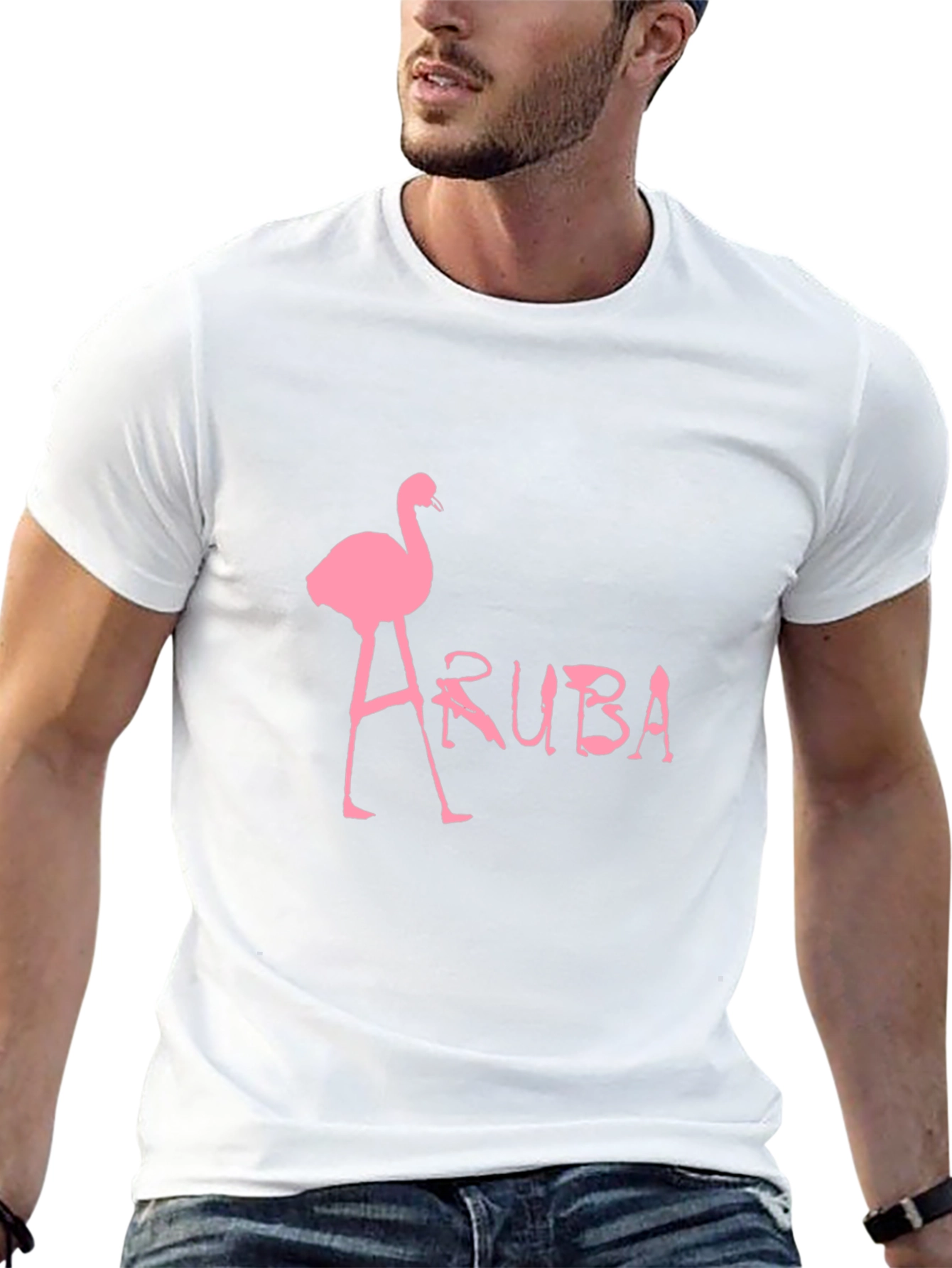 Aruba Flamingo Graphic Tee - Black Cotton T-Shirt
