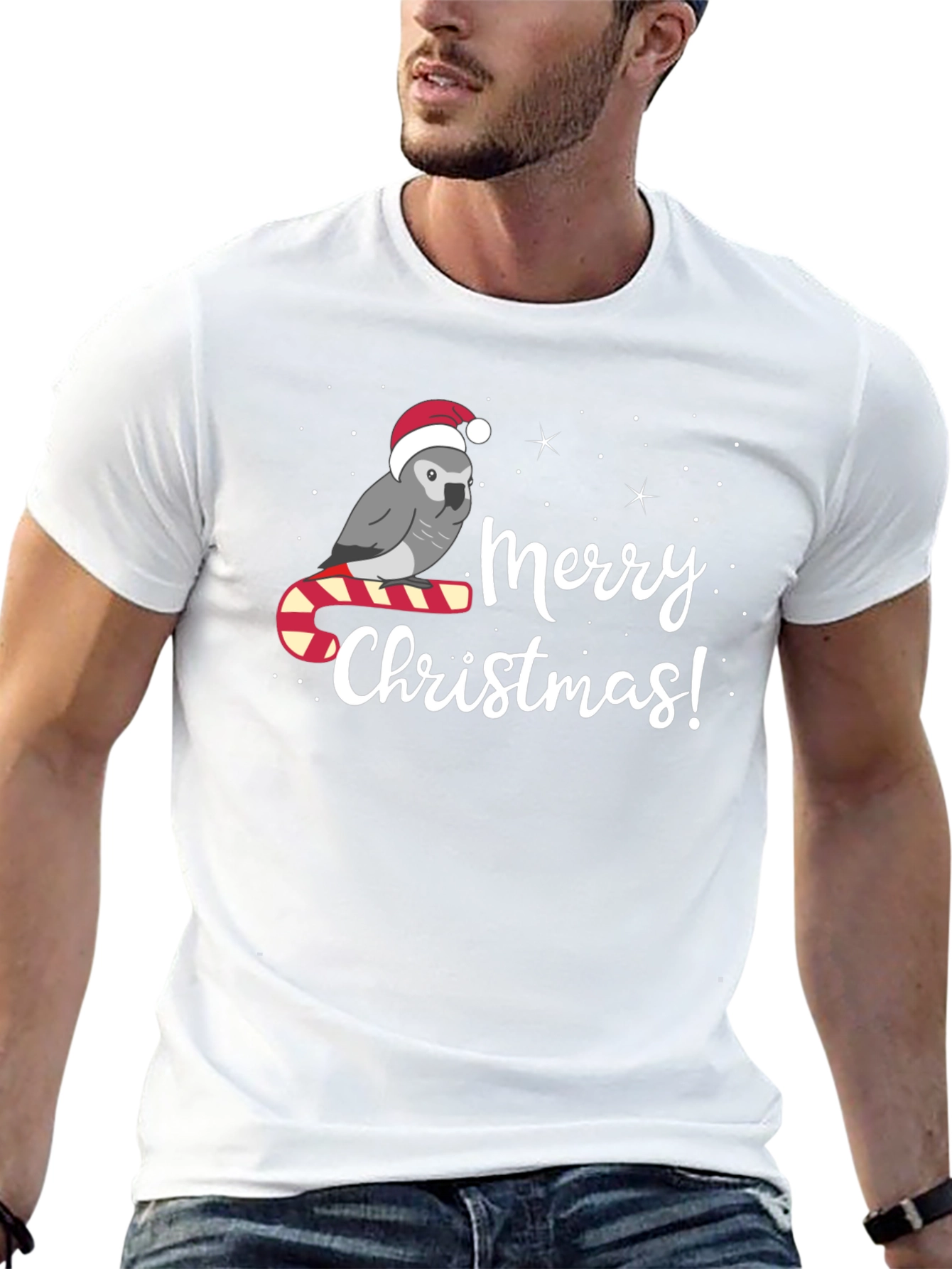Festive Parrot Merry Christmas T-Shirt