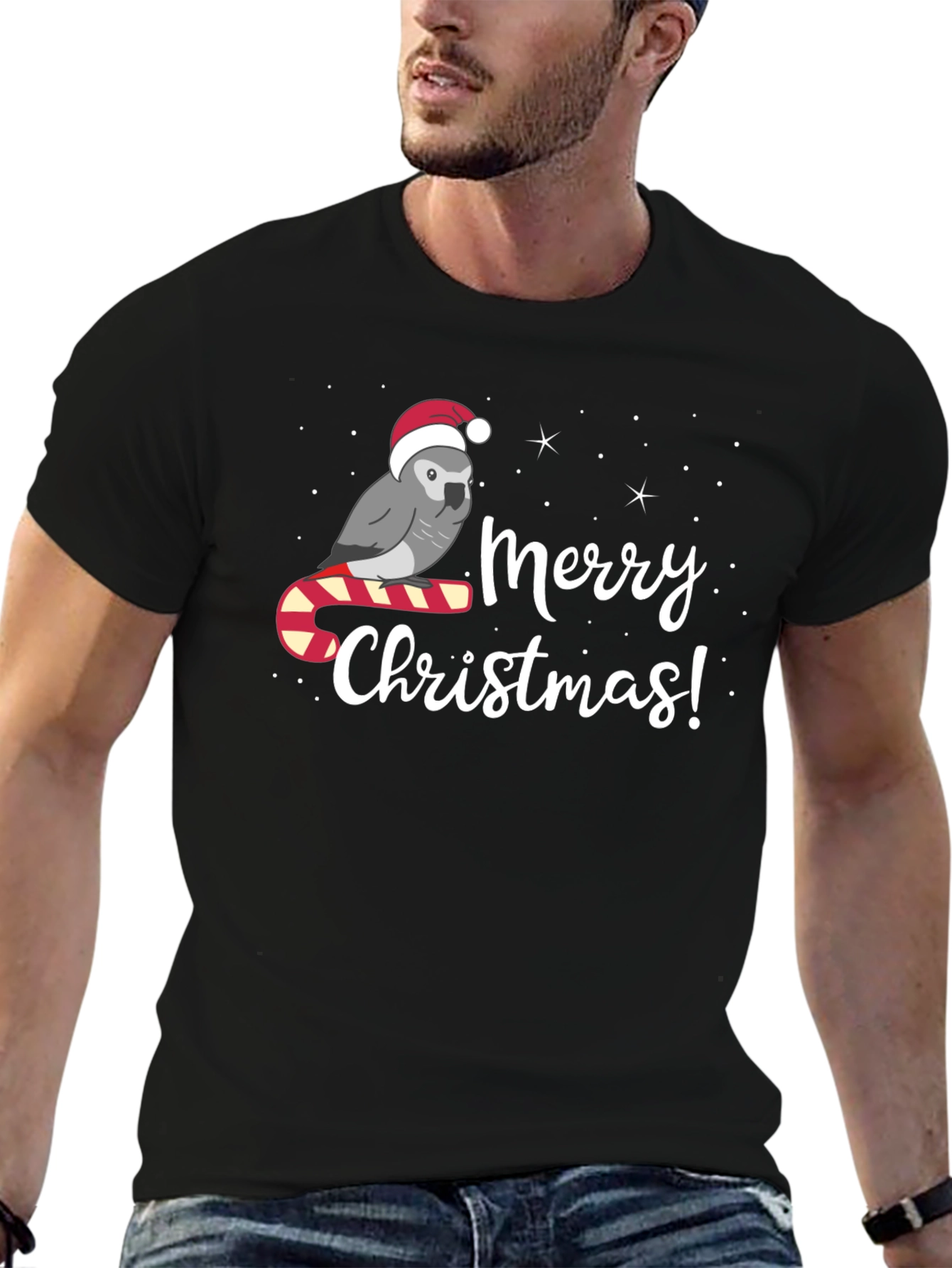 Festive Parrot Merry Christmas T-Shirt