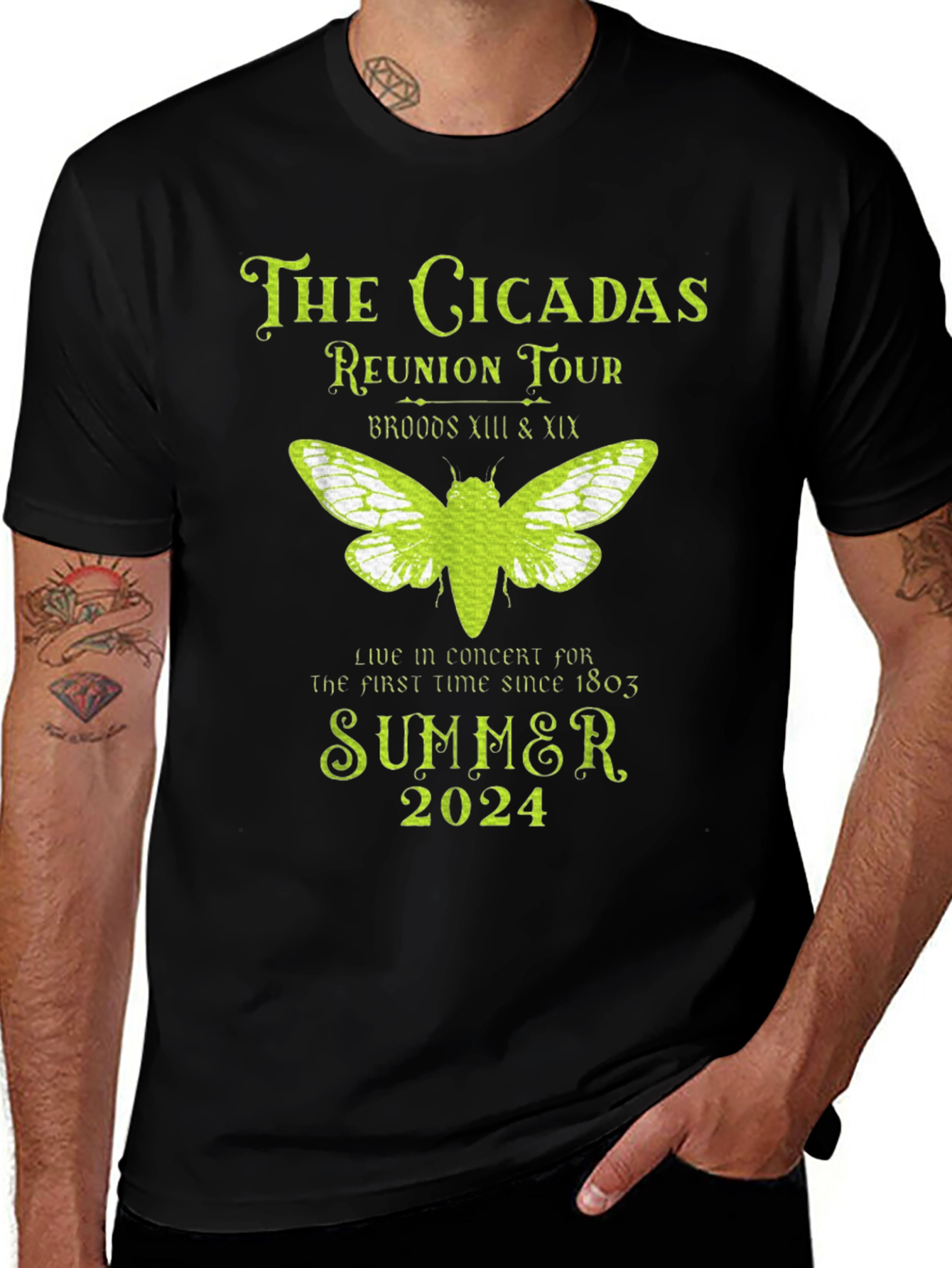 The Cicadas Reunion Tour T-Shirt - Summer 2024