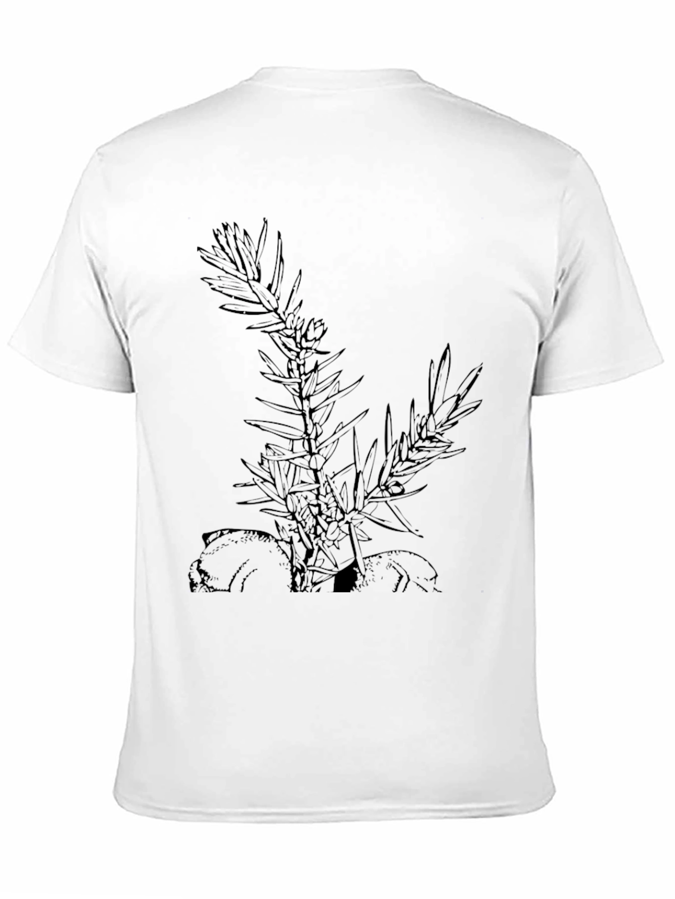 Botanical Graphic Black T-Shirt