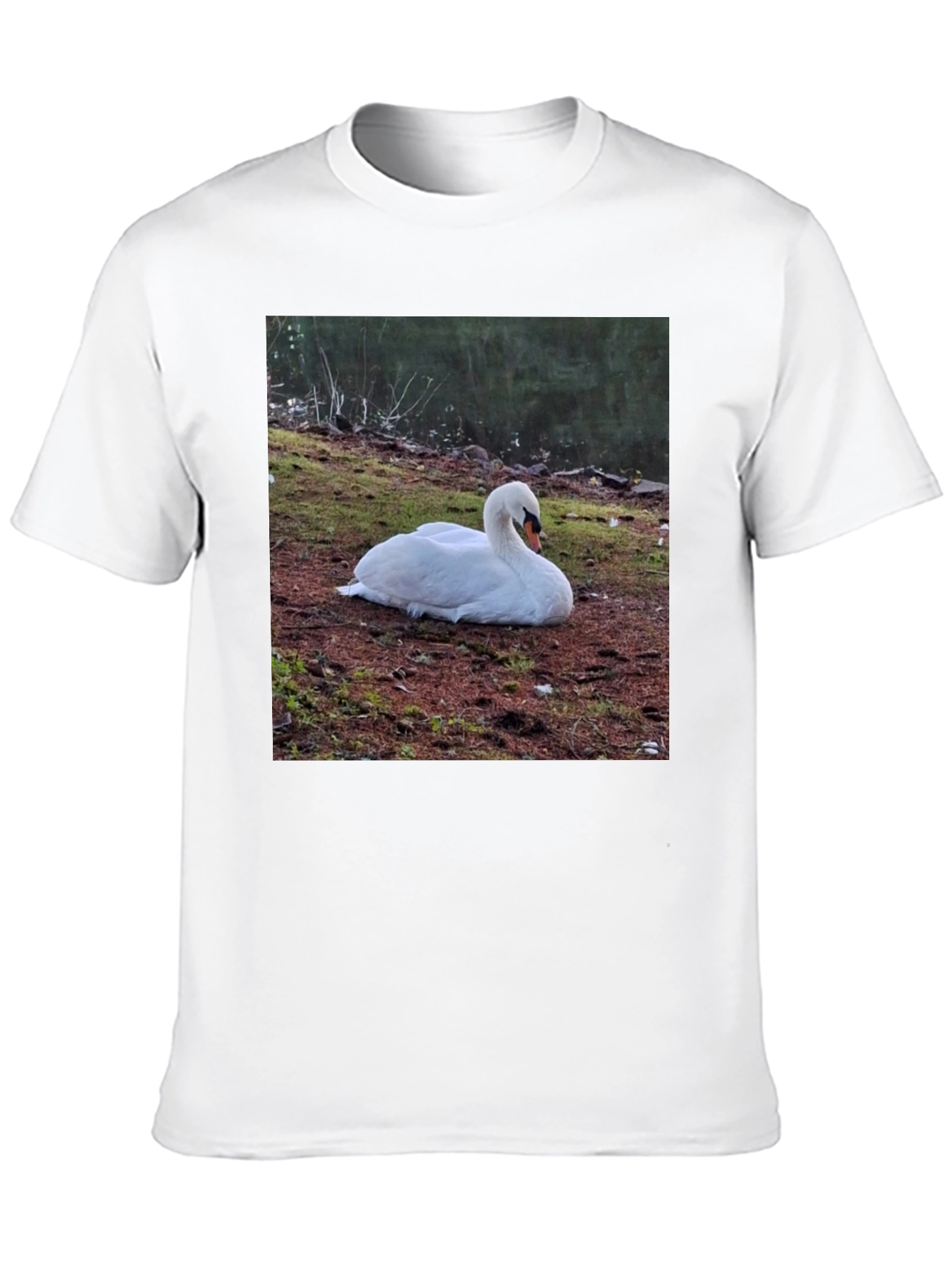 Swan Graphic Tee - Unique Nature Lovers Shirt