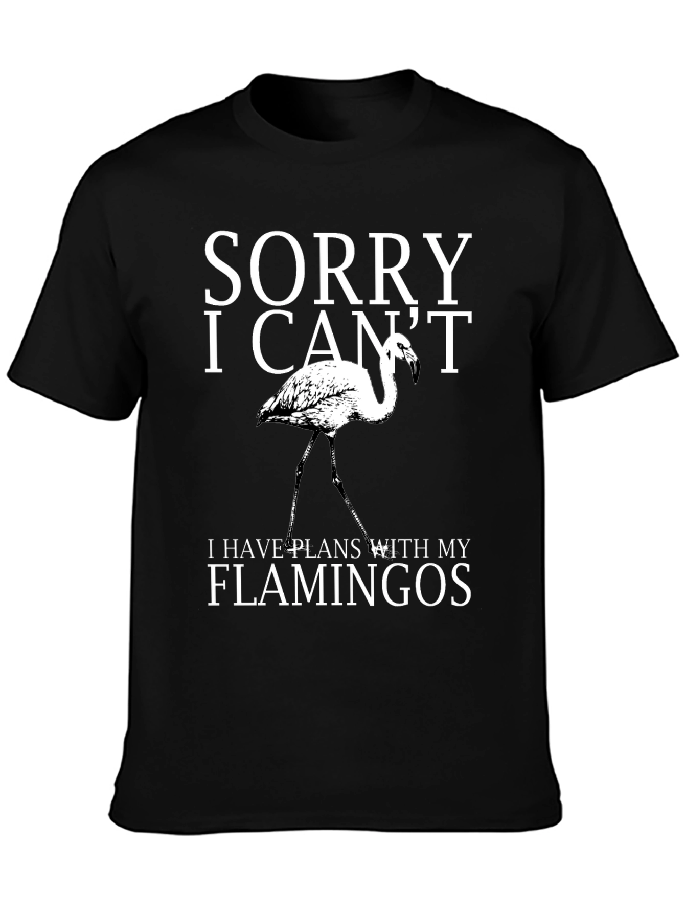 Sorry I Cant Flamingos Graphic Tee