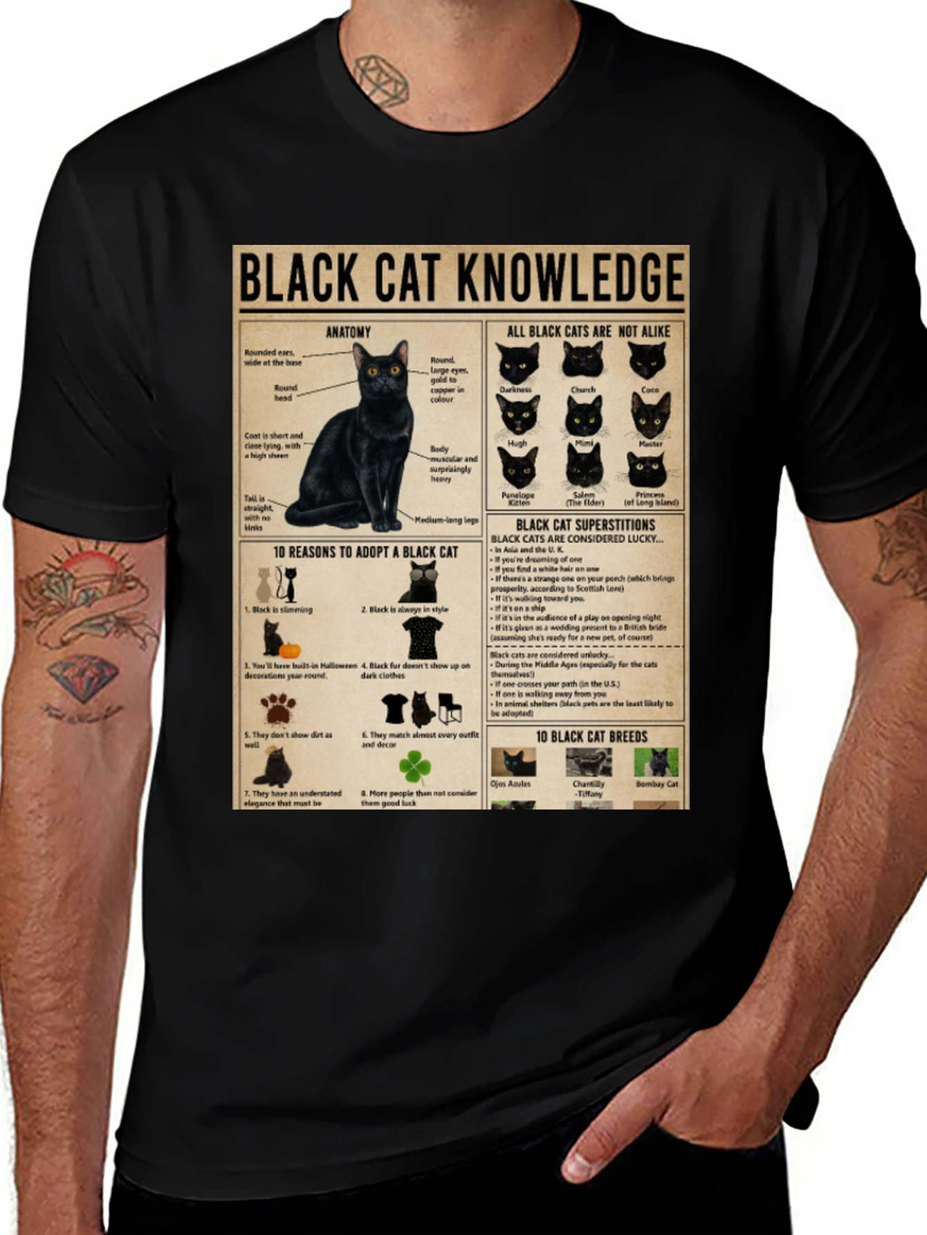 Black Cat Knowledge Graphic T-Shirt