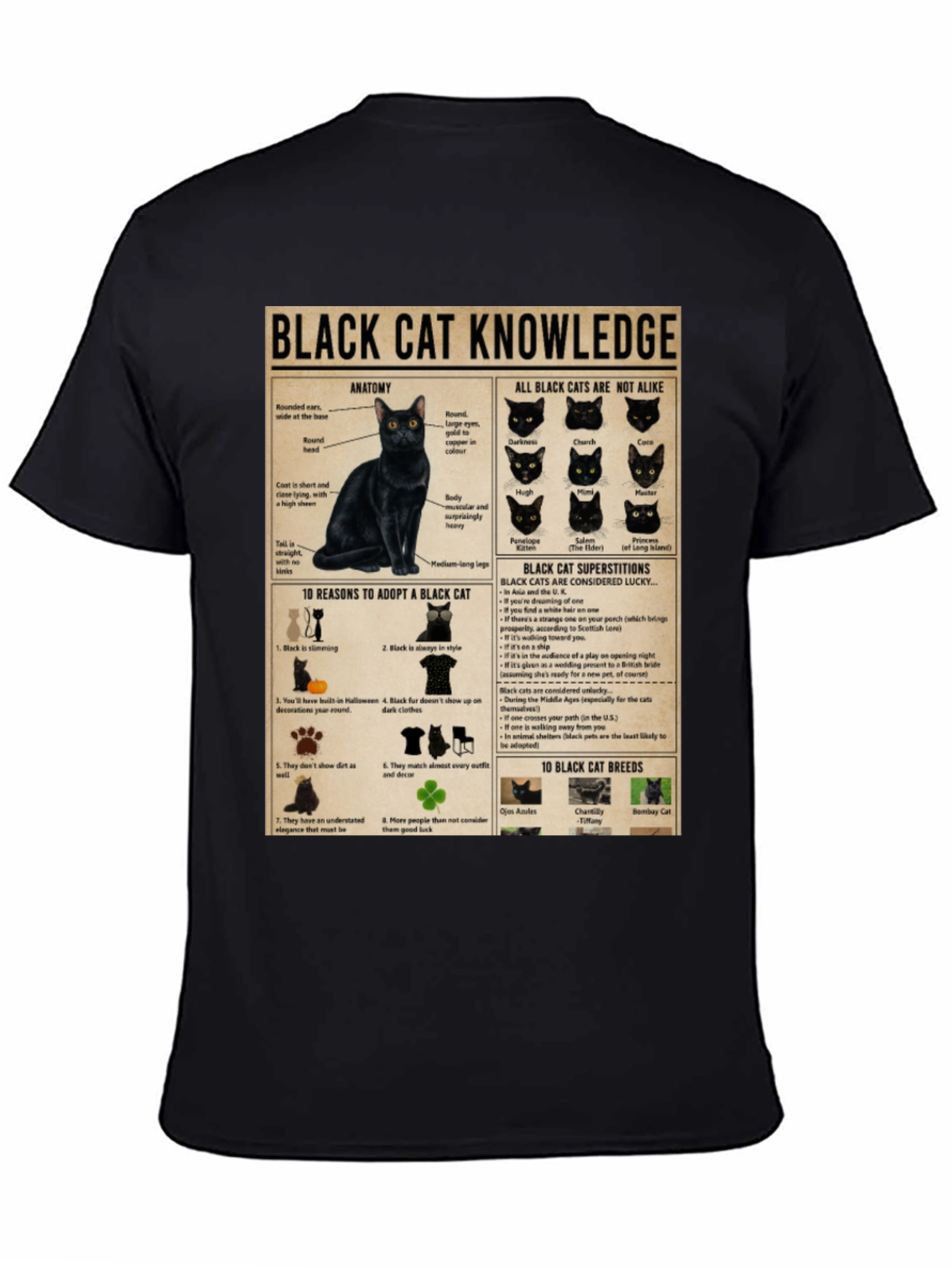 Black Cat Knowledge Graphic T-Shirt