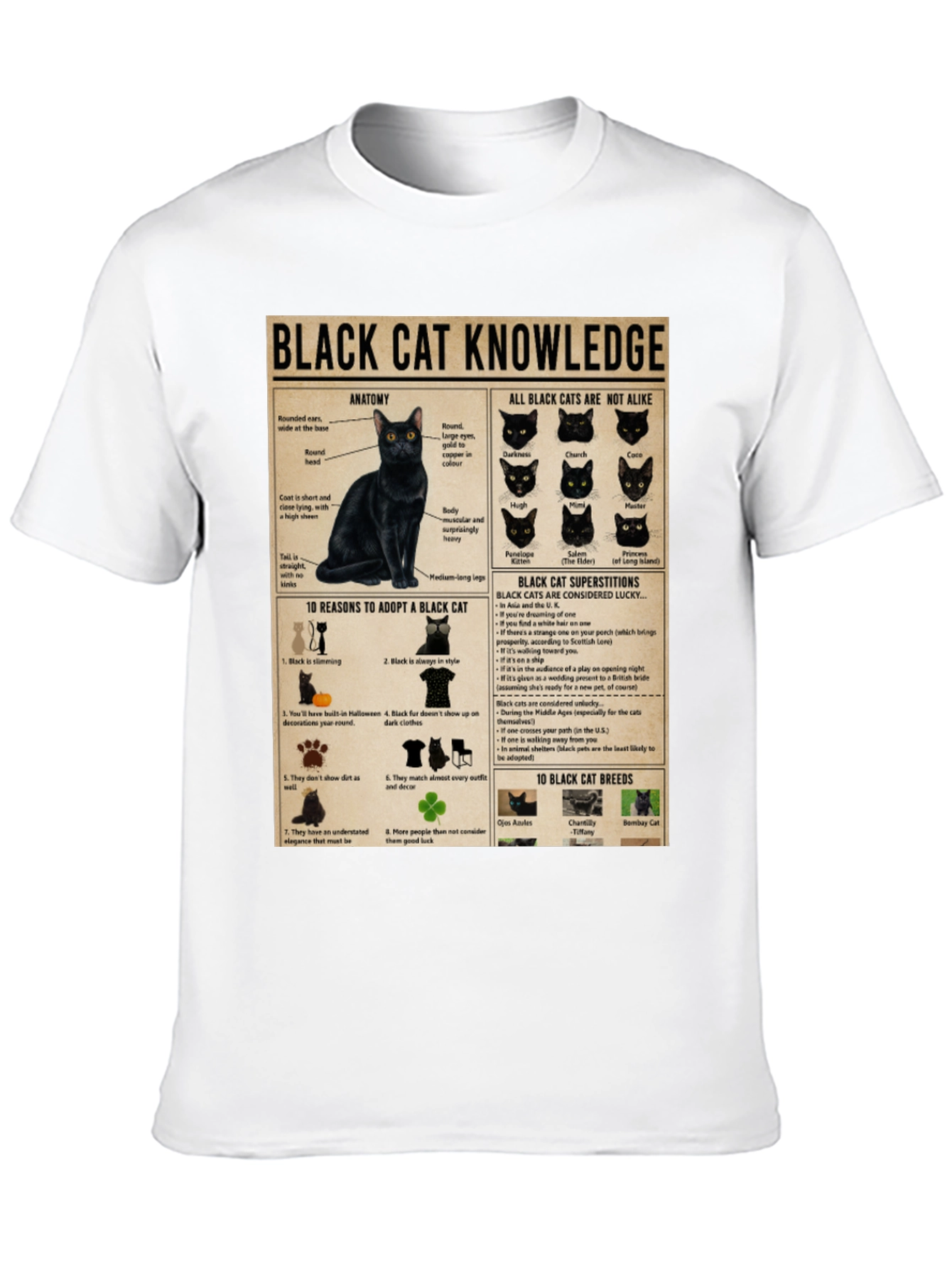 Black Cat Knowledge Graphic T-Shirt