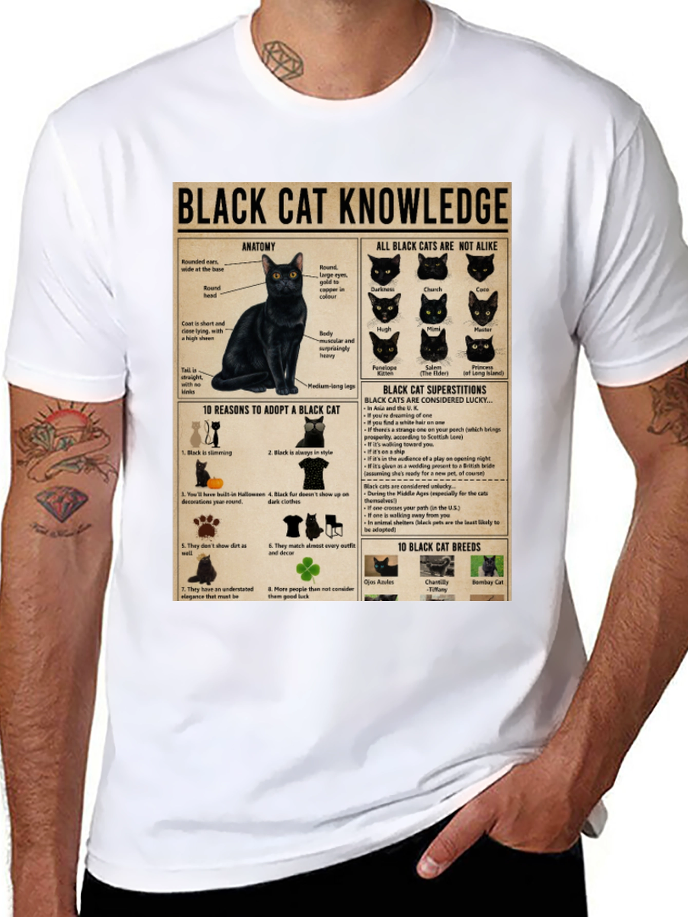 Black Cat Knowledge Graphic T-Shirt