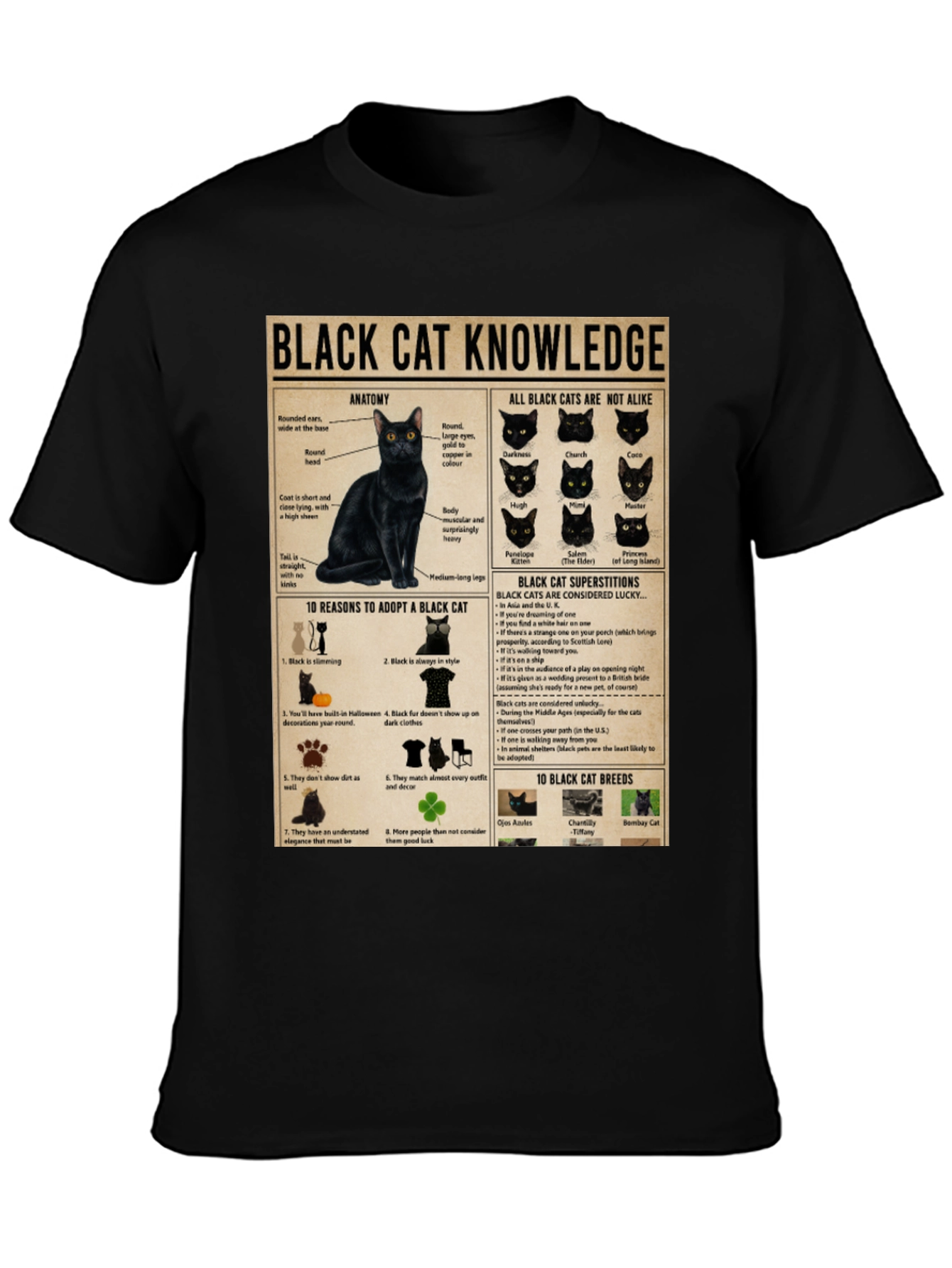 Black Cat Knowledge Graphic T-Shirt