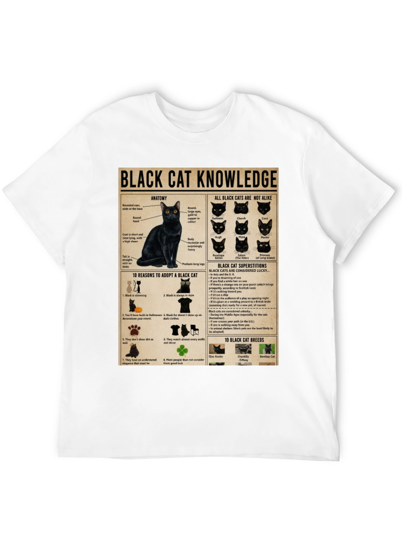 Black Cat Knowledge Graphic T-Shirt