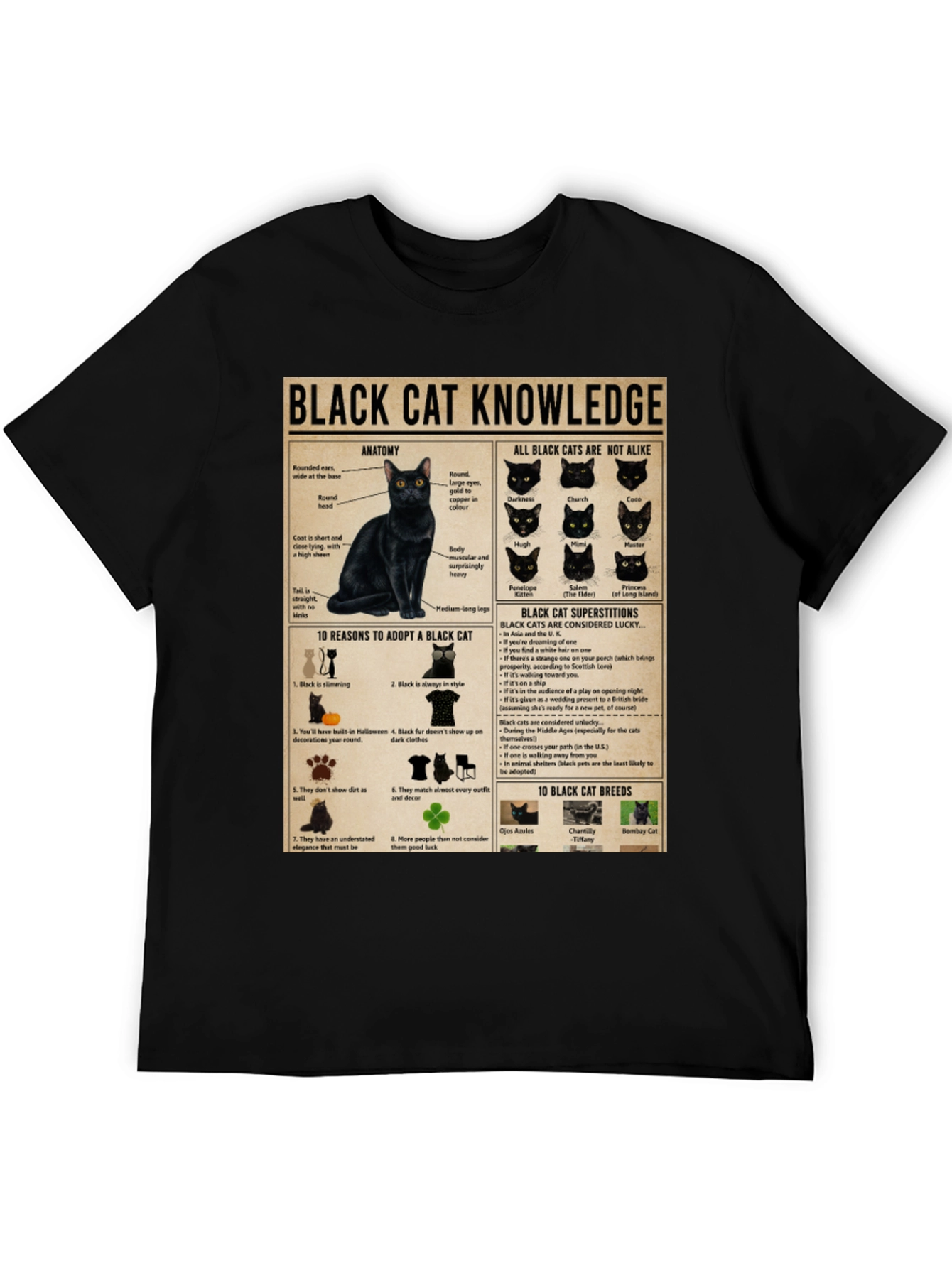 Black Cat Knowledge Graphic T-Shirt