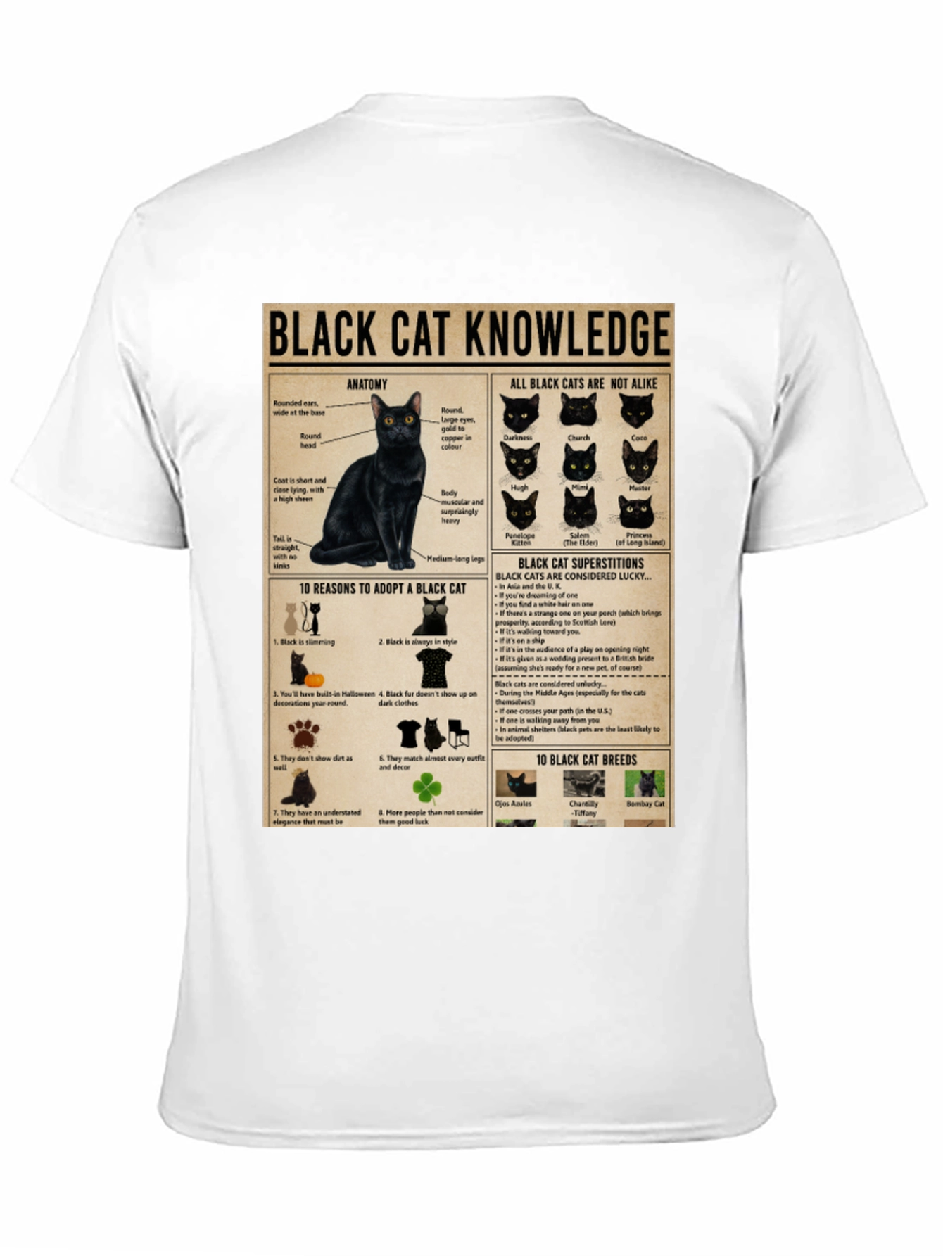 Black Cat Knowledge Graphic T-Shirt
