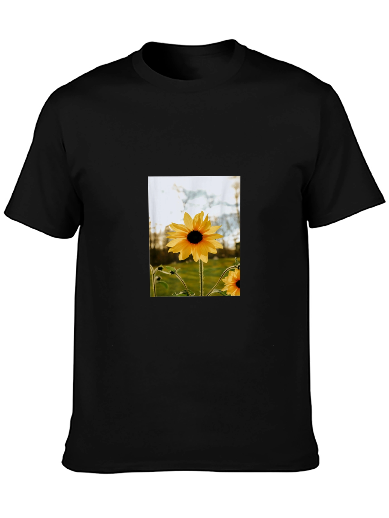 Sunflower Graphic Tee - Stylish Black Cotton T-Shirt