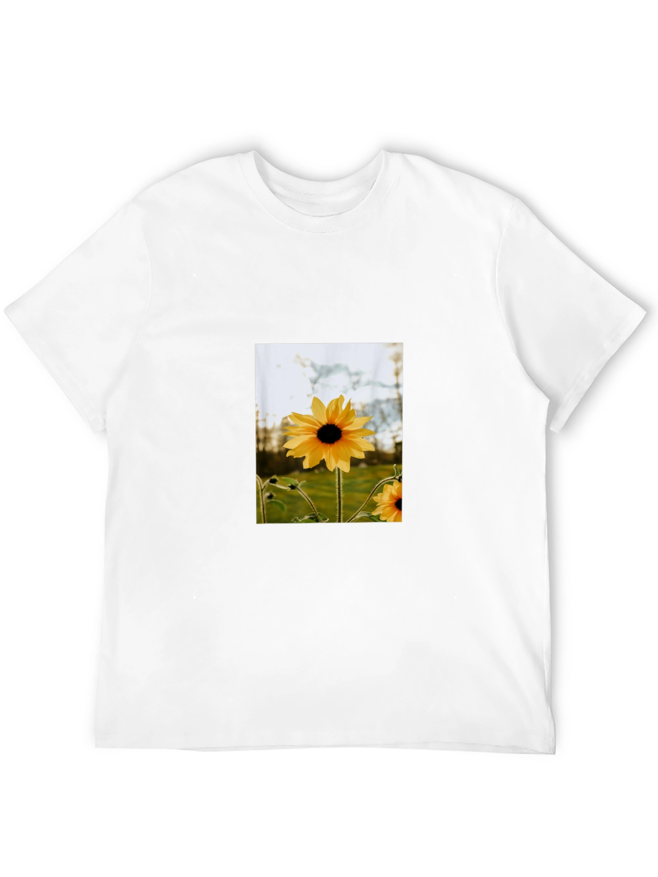 Sunflower Graphic Tee - Stylish Black Cotton T-Shirt