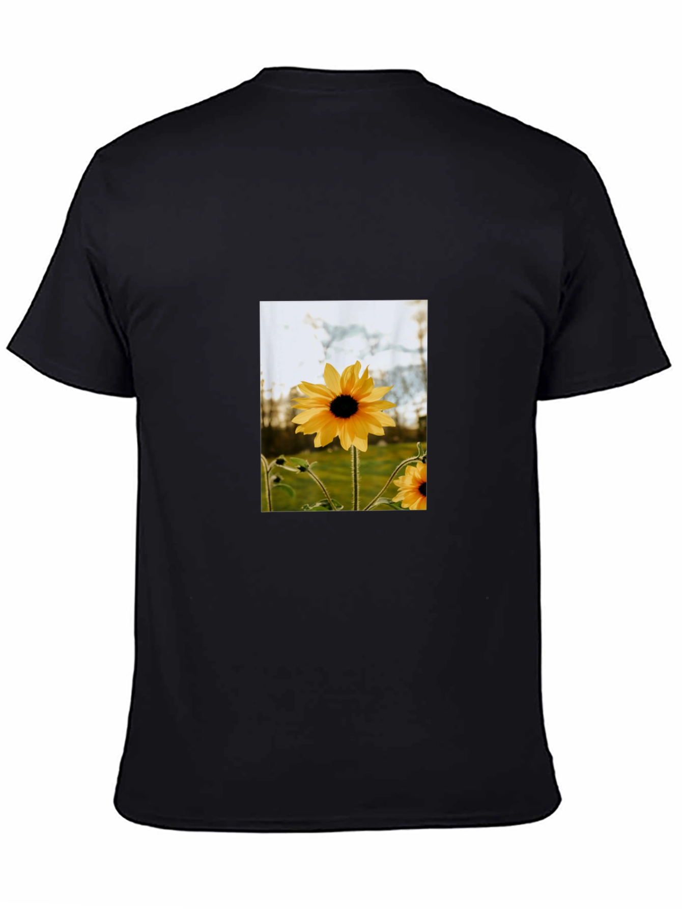 Sunflower Graphic Tee - Stylish Black Cotton T-Shirt
