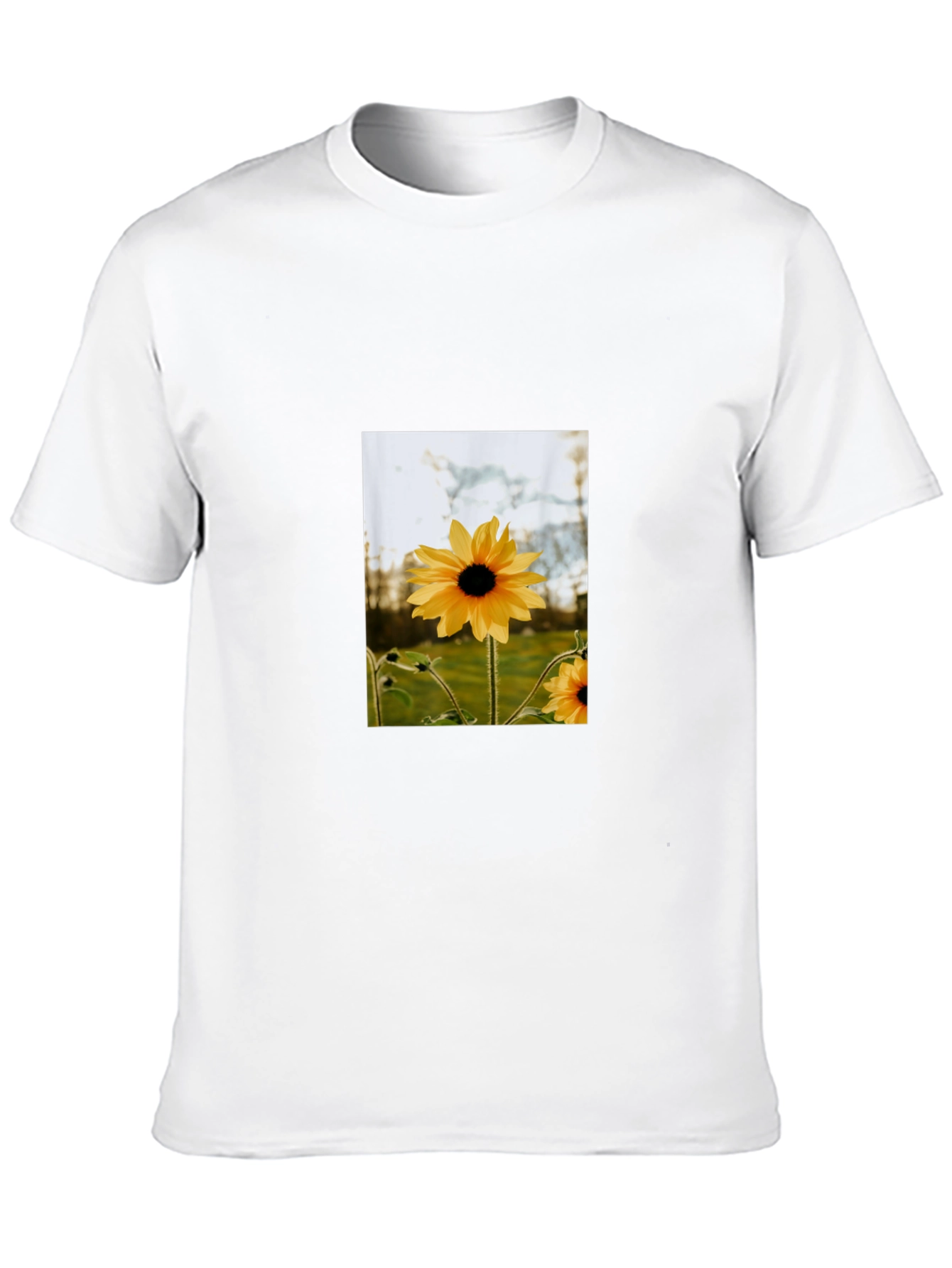 Sunflower Graphic Tee - Stylish Black Cotton T-Shirt