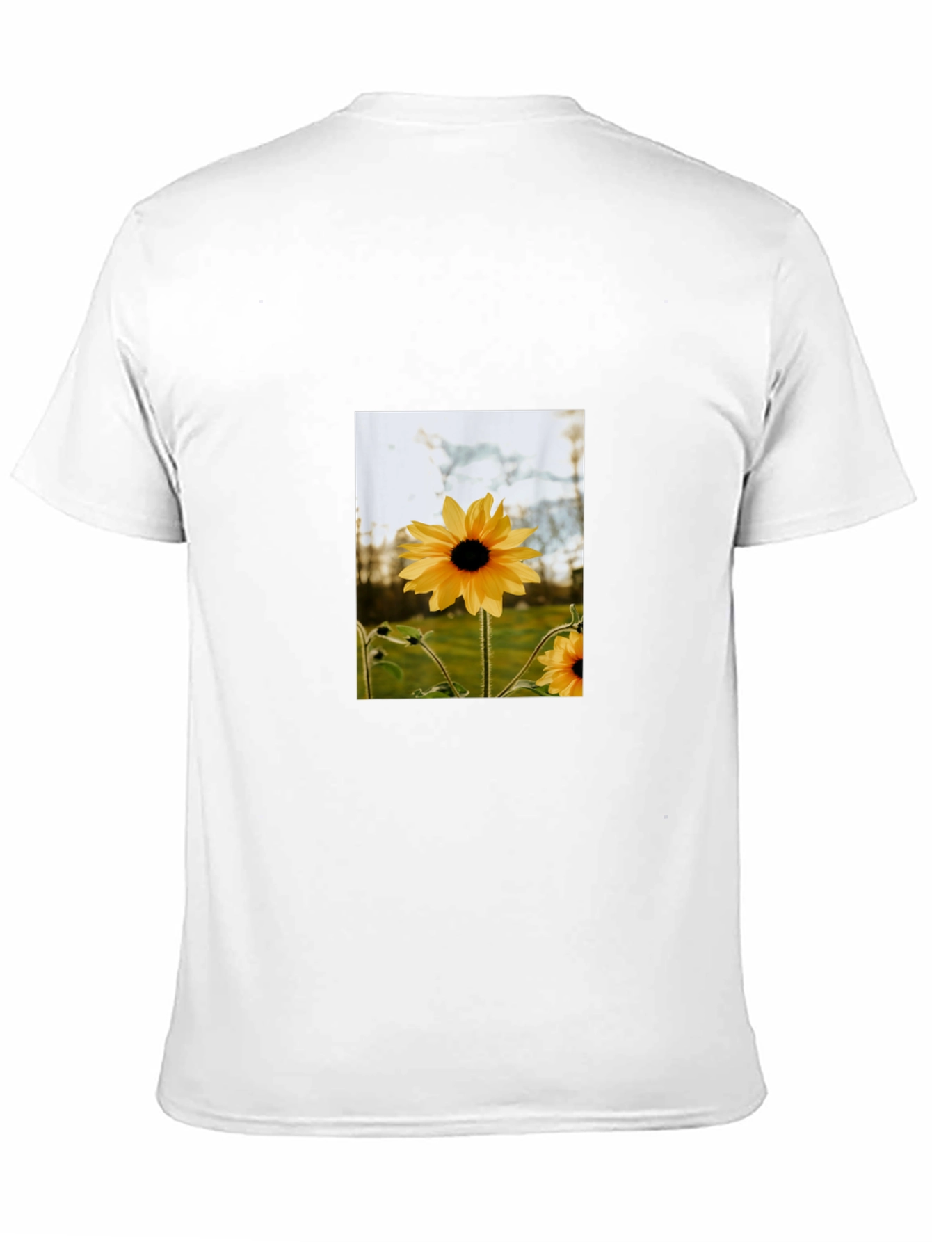 Sunflower Graphic Tee - Stylish Black Cotton T-Shirt