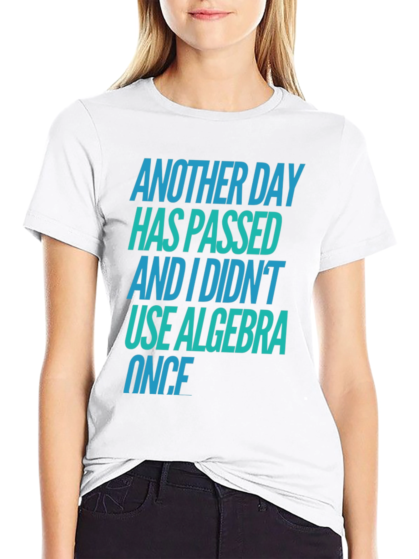 Funny Algebra T-Shirt - Another Day Passed