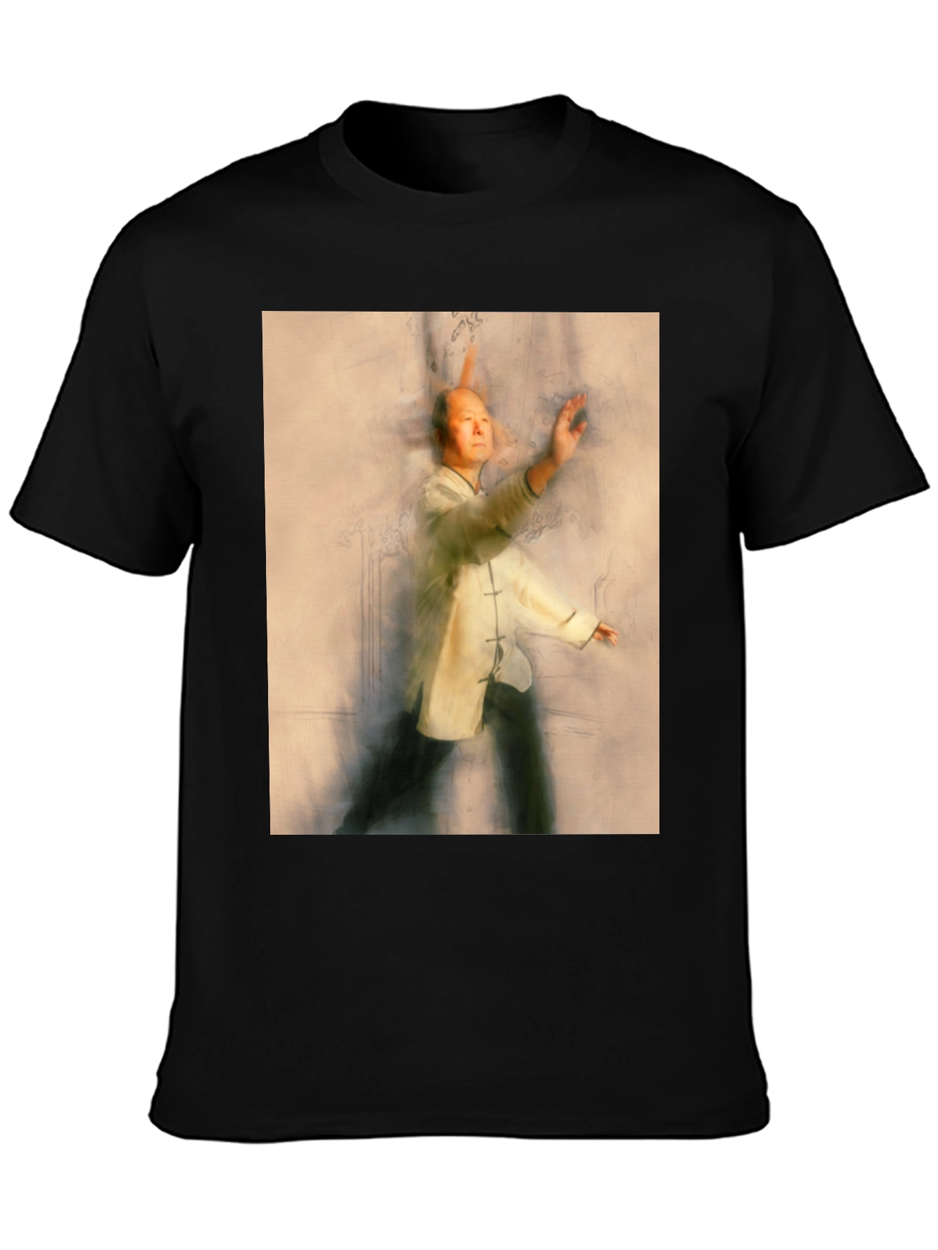 Tai Chi Master Graphic Tee - Martial Arts Shirt
