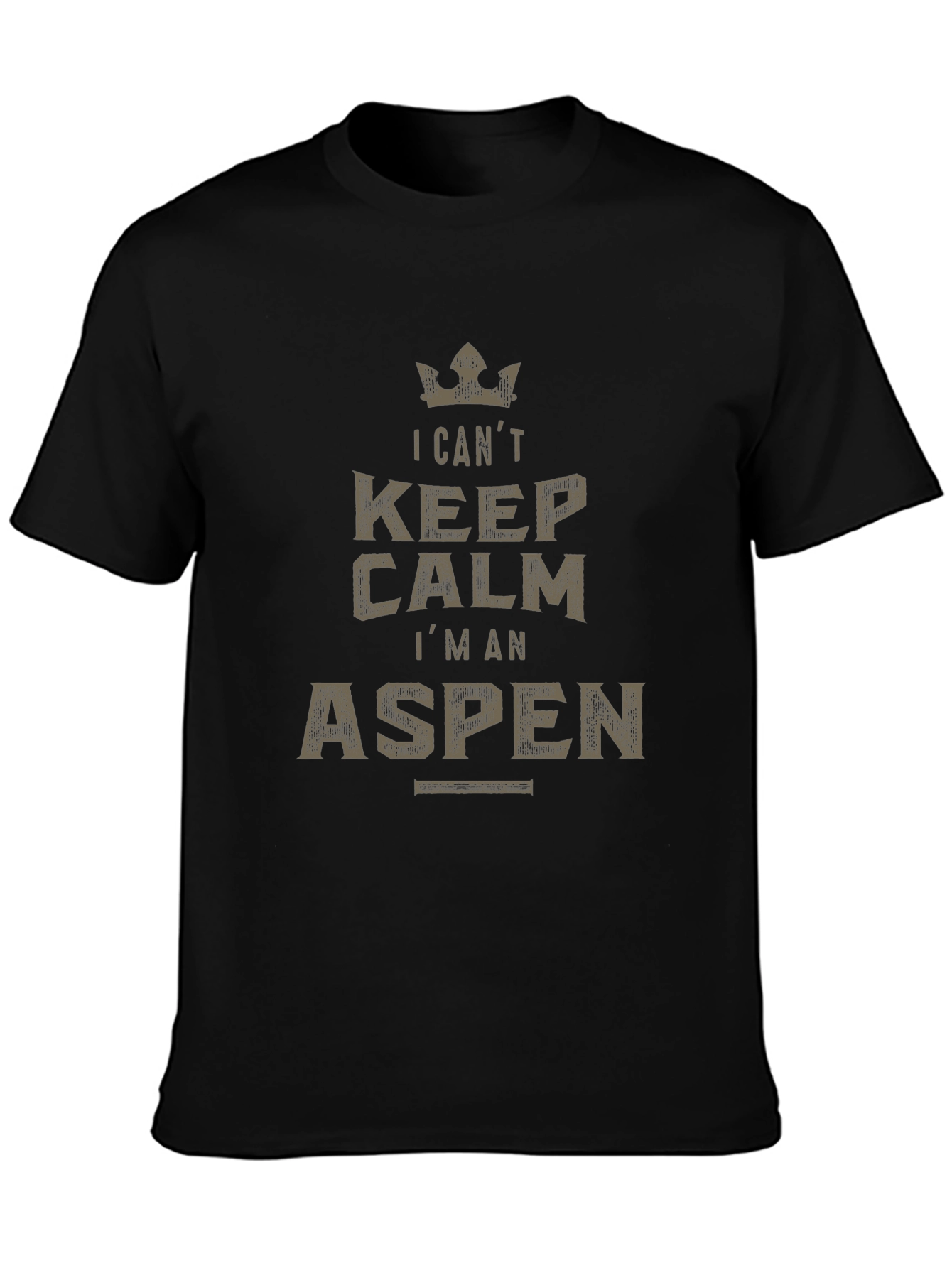 I Cant Keep Calm Im An Aspen T-Shirt