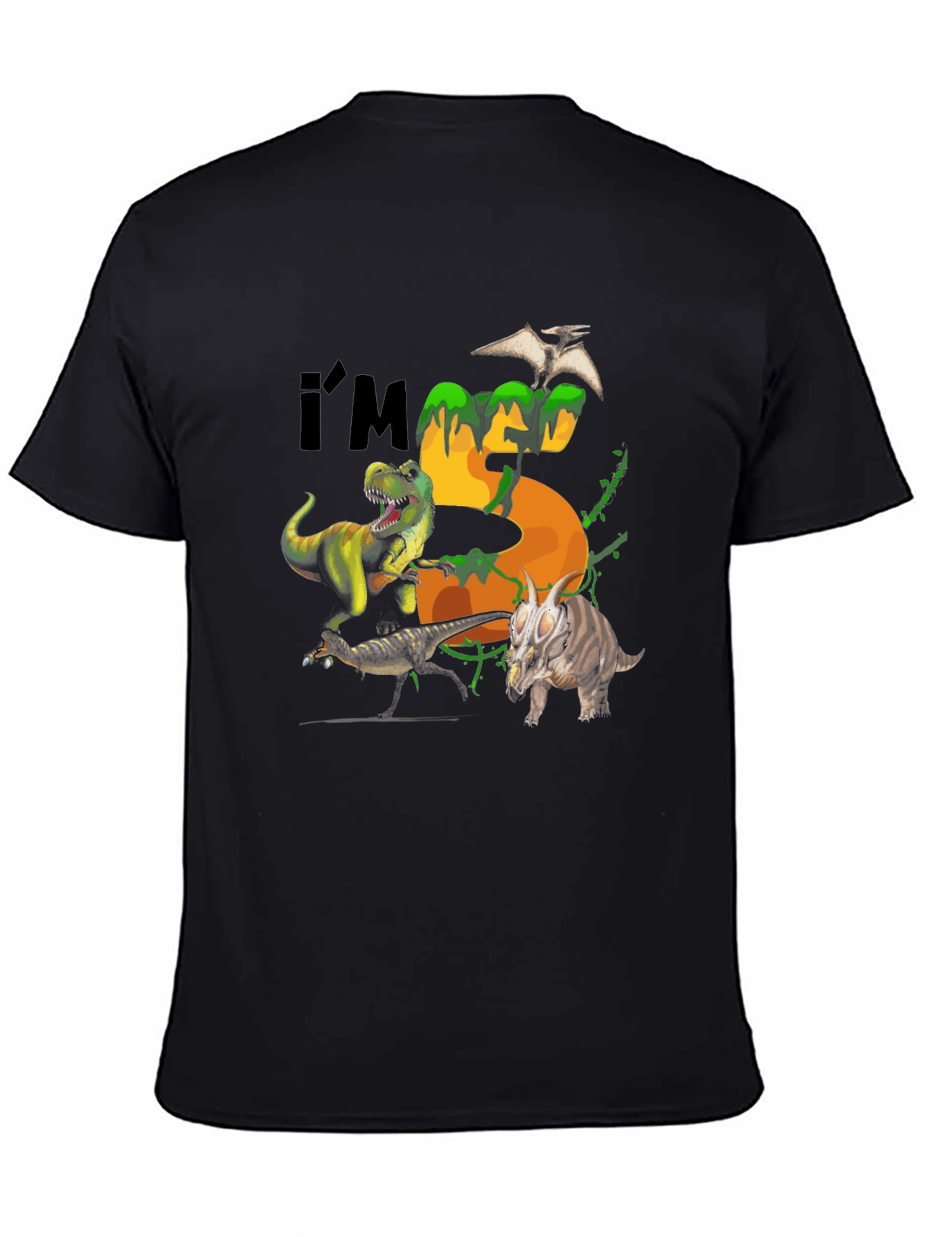 Dinosaur 5th Birthday T-Shirt