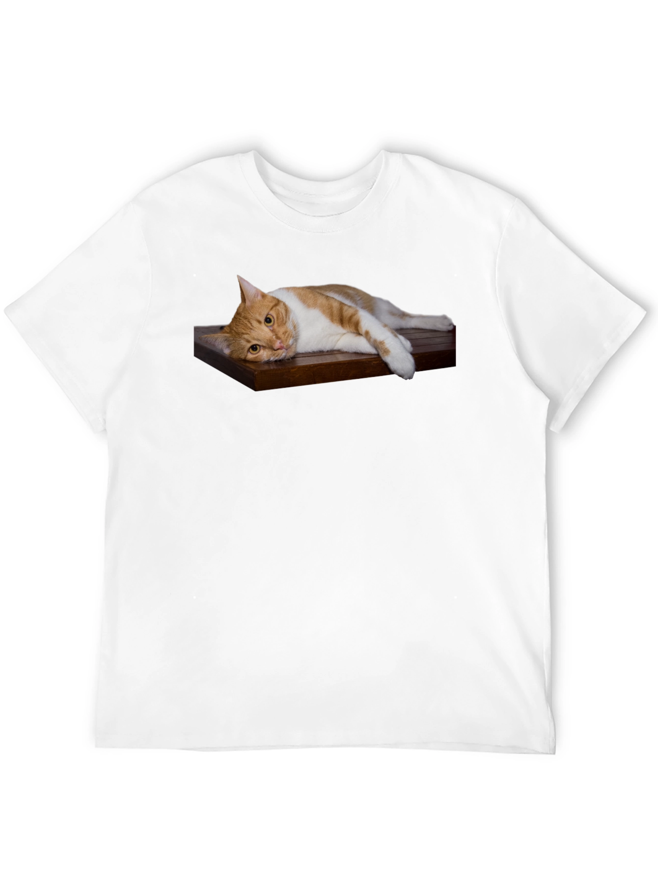 Cat on Wood Shelf Graphic Tee