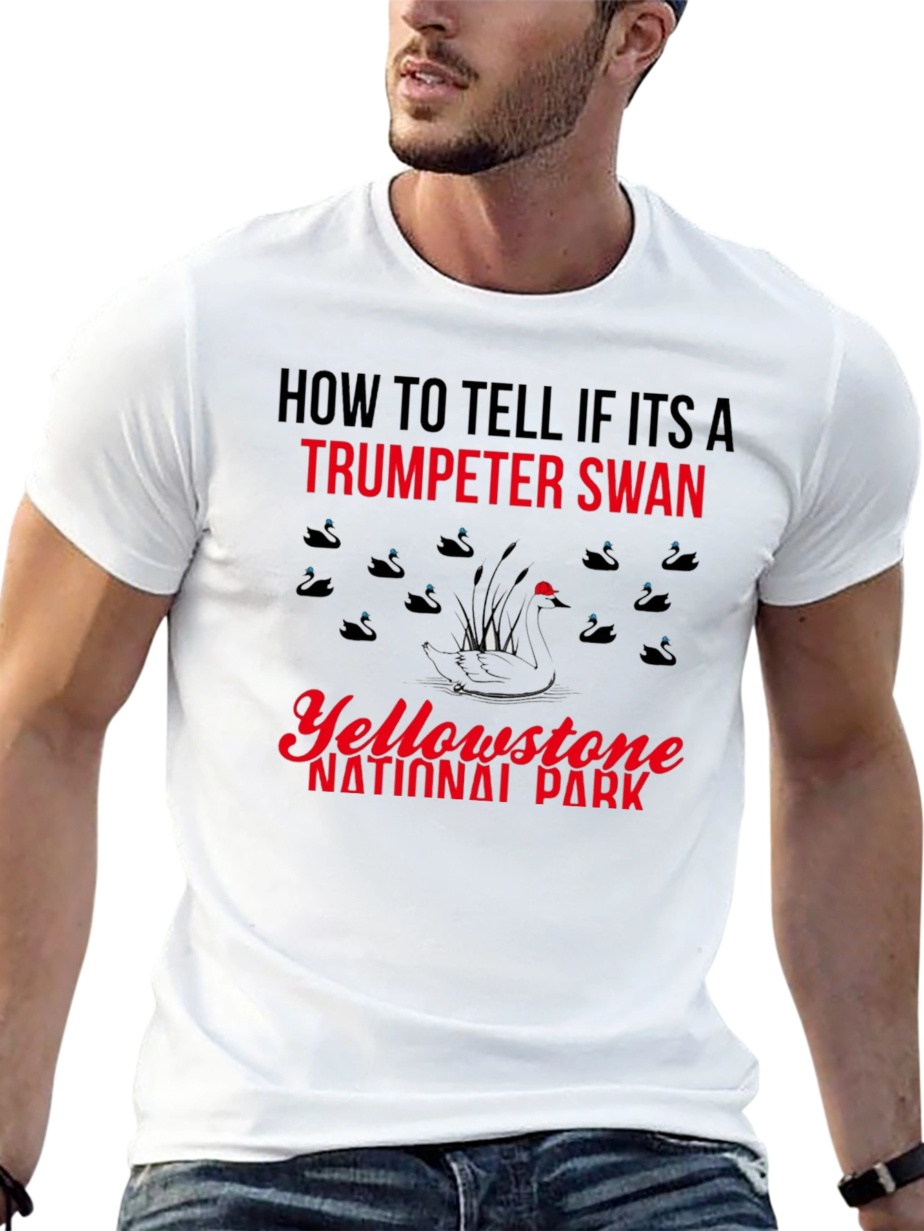 Yellowstone Trumpeter Swan T-Shirt