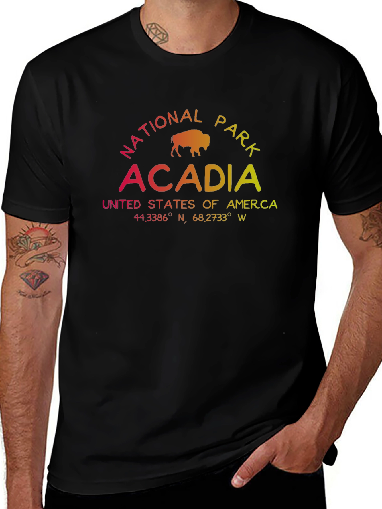 Acadia National Park T-Shirt - Gradient Graphic Tee