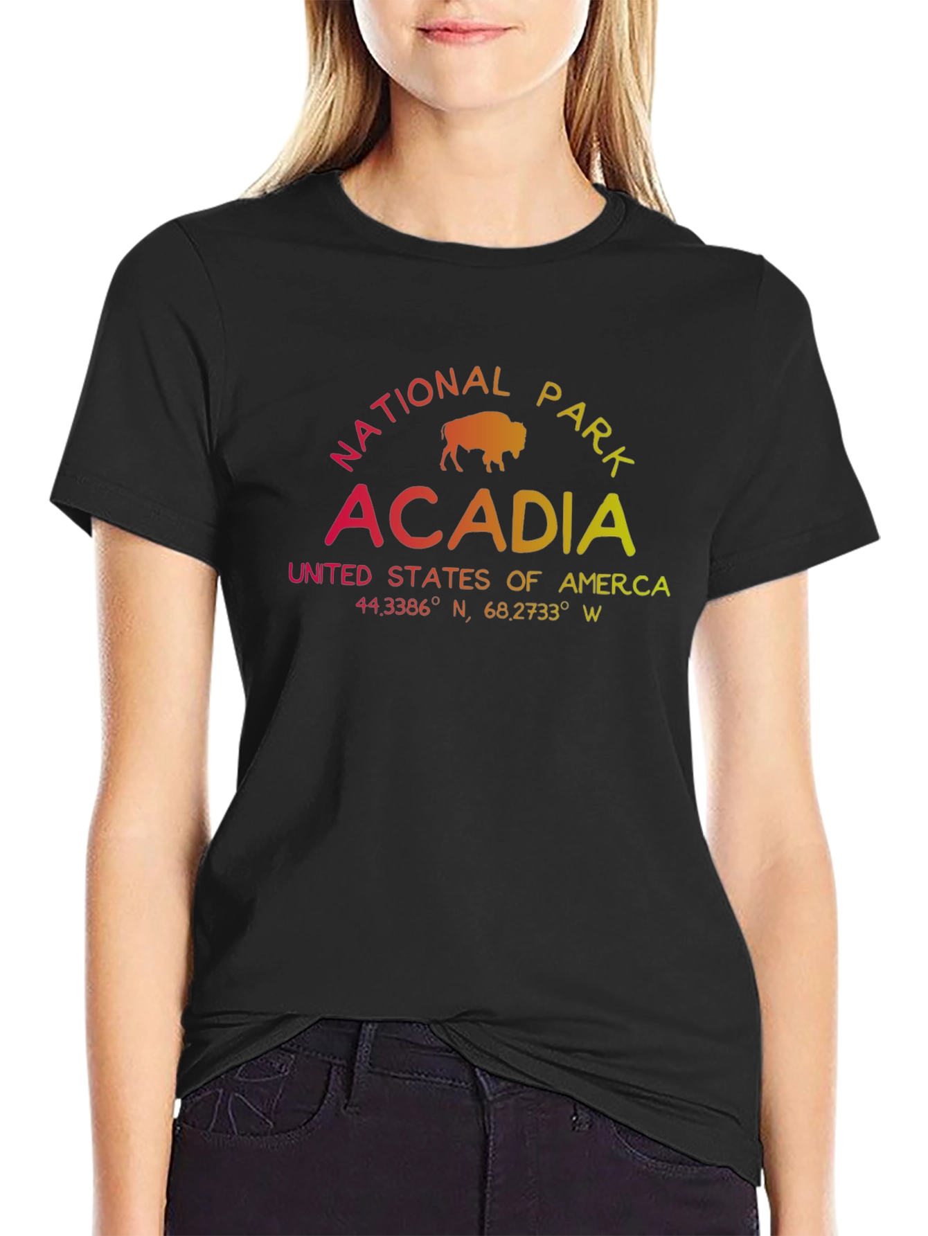 Acadia National Park T-Shirt - Gradient Graphic Tee