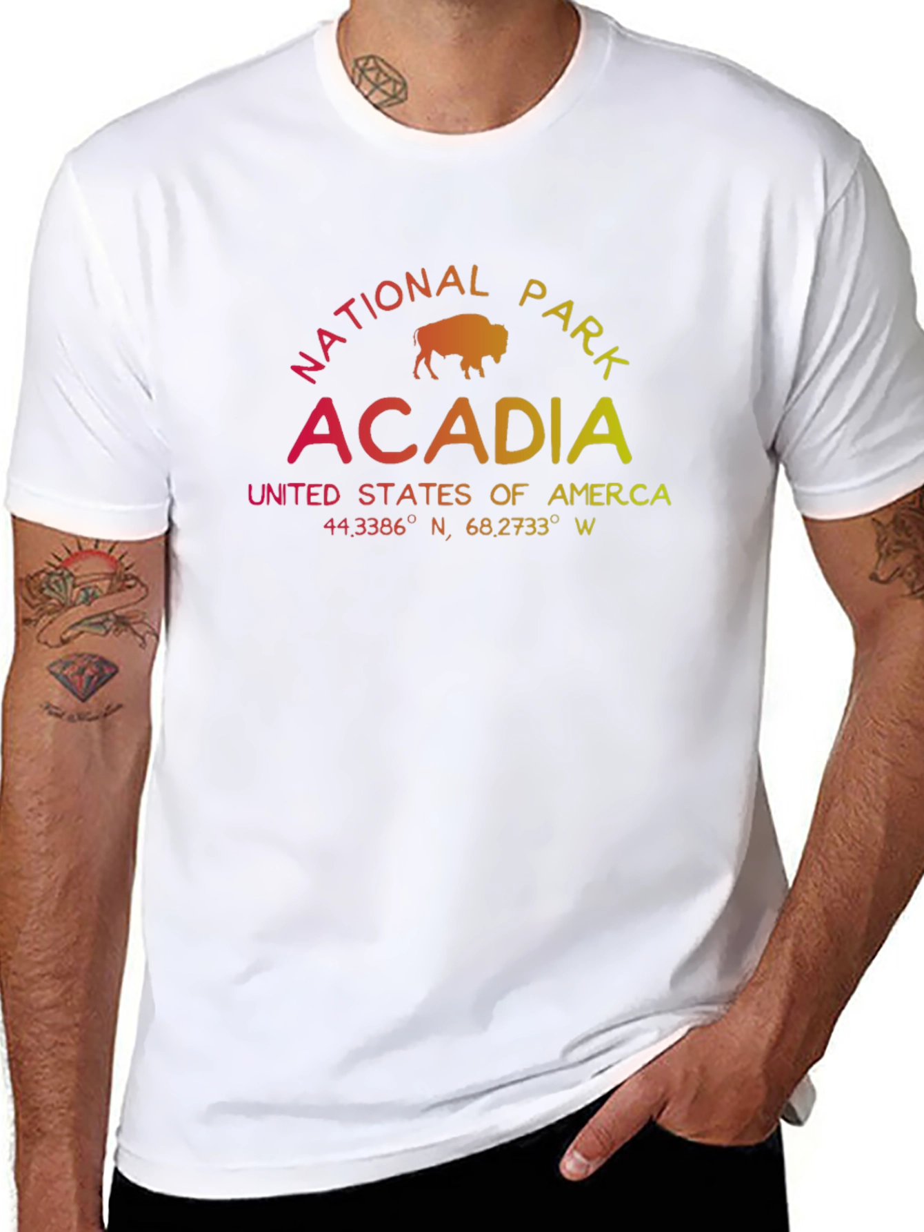Acadia National Park T-Shirt - Gradient Graphic Tee