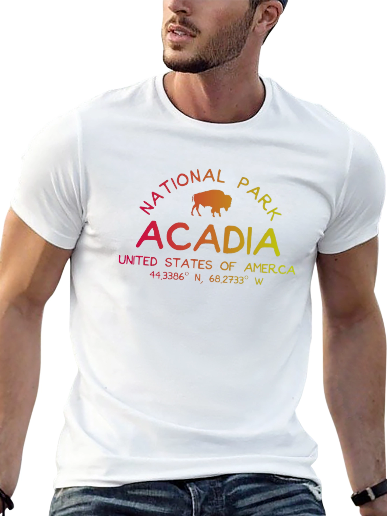 Acadia National Park T-Shirt - Gradient Graphic Tee