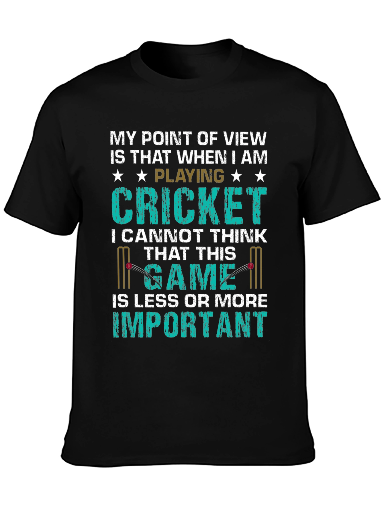 Cricket Lover T-Shirt - My Point of View