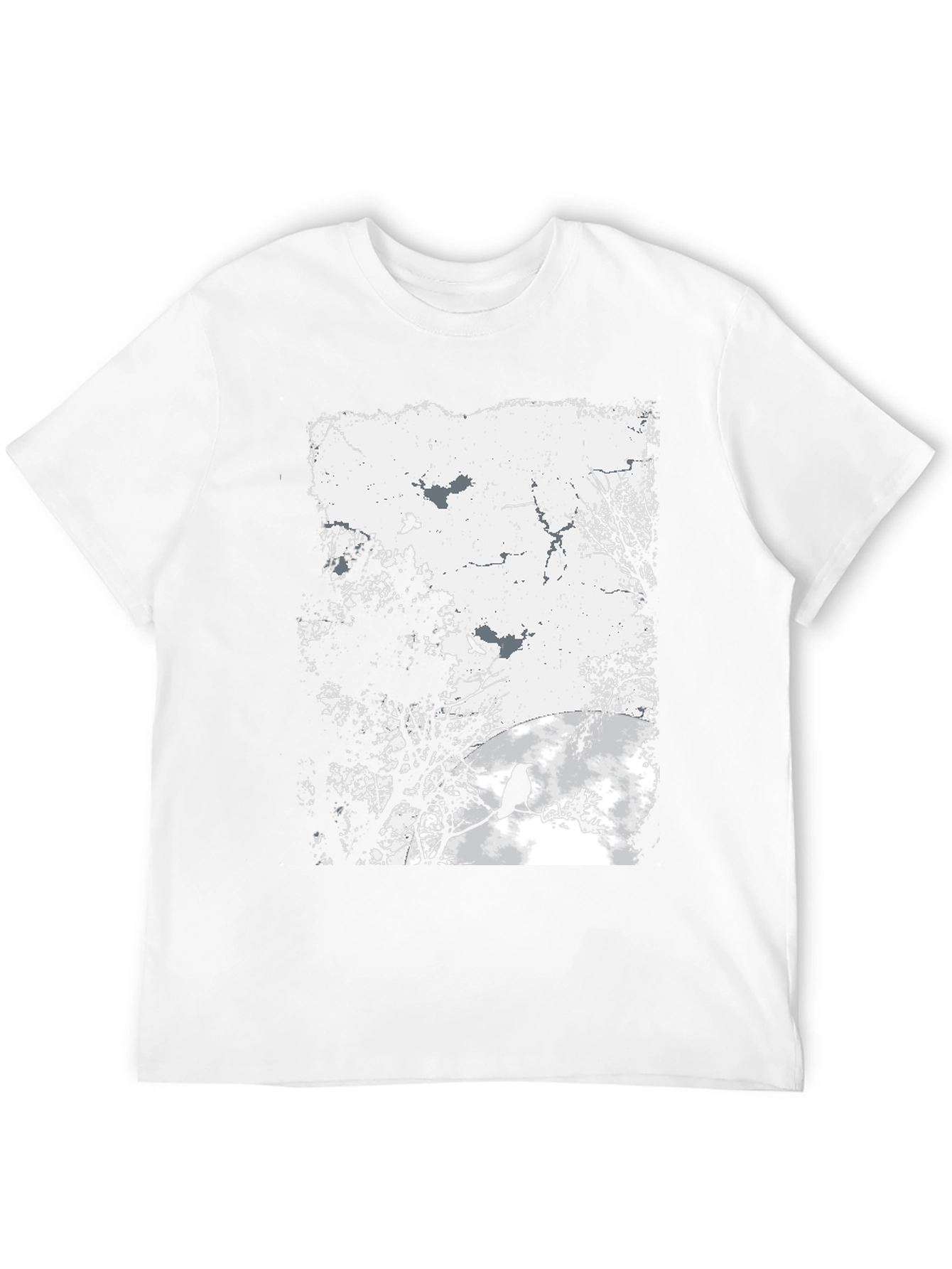 Raven Silhouette Graphic Tee