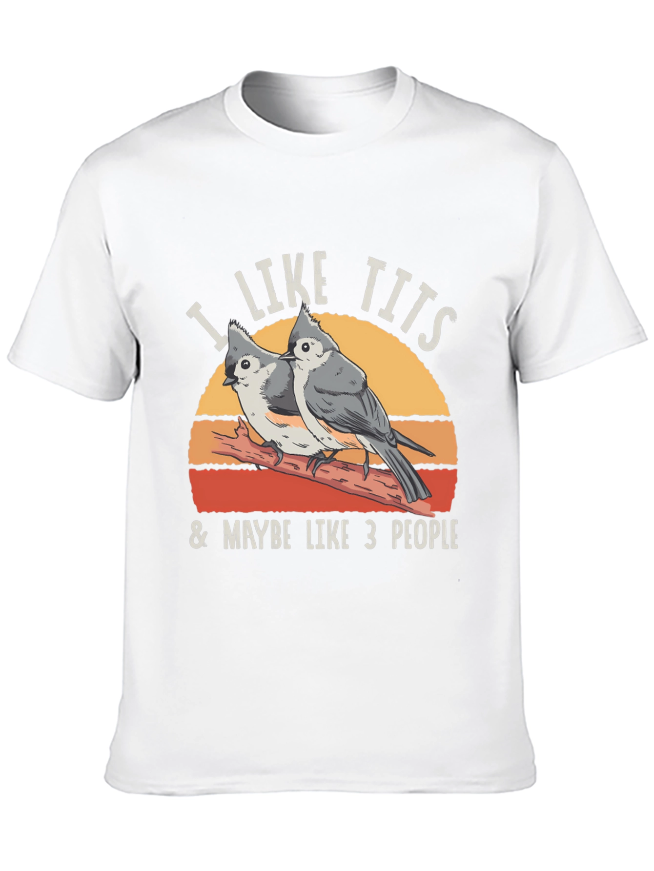 I Like Tits & Maybe Like 3 People T-Shirt