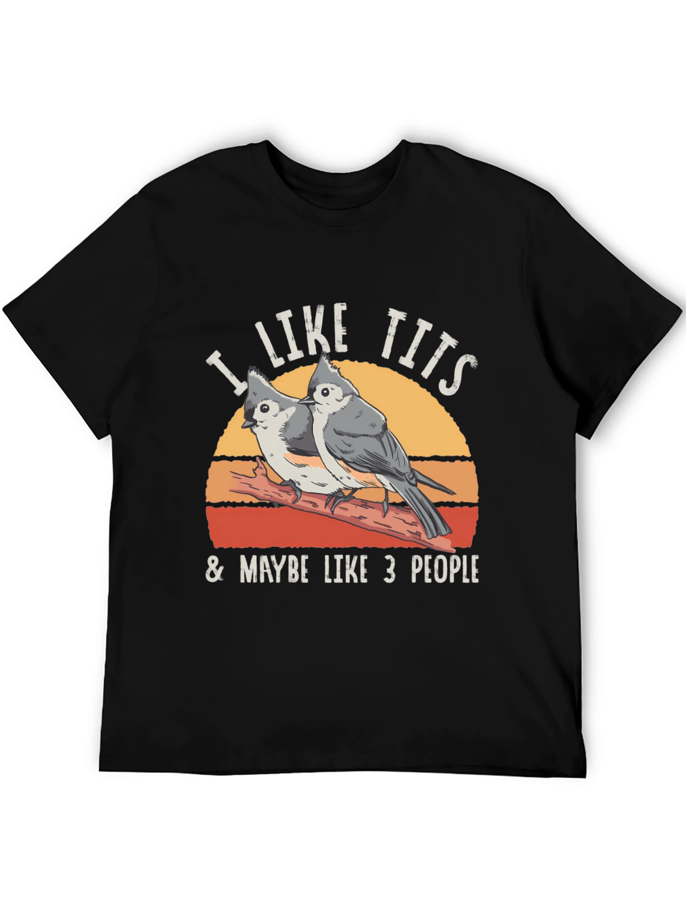 I Like Tits & Maybe Like 3 People T-Shirt