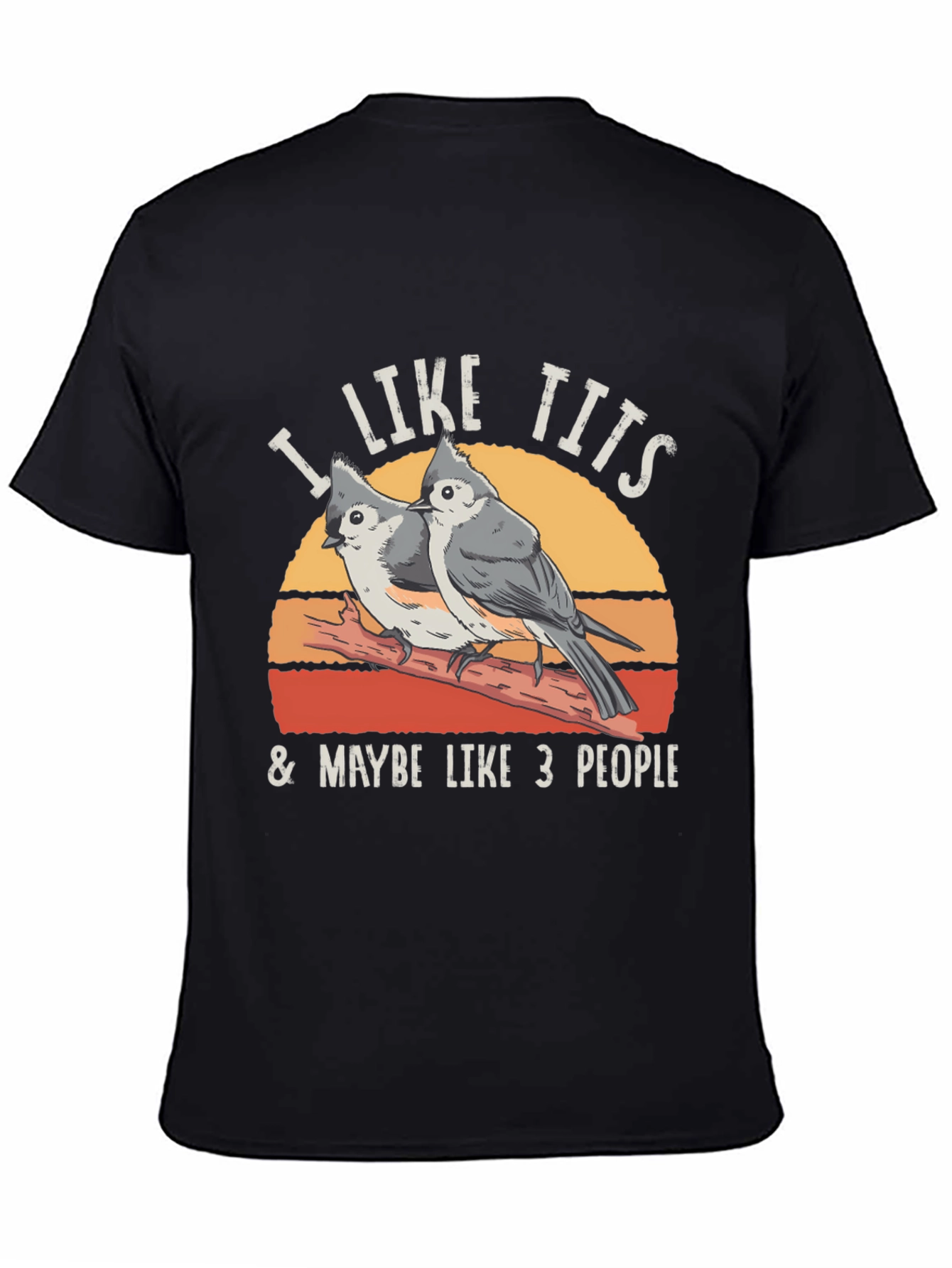 I Like Tits & Maybe Like 3 People T-Shirt