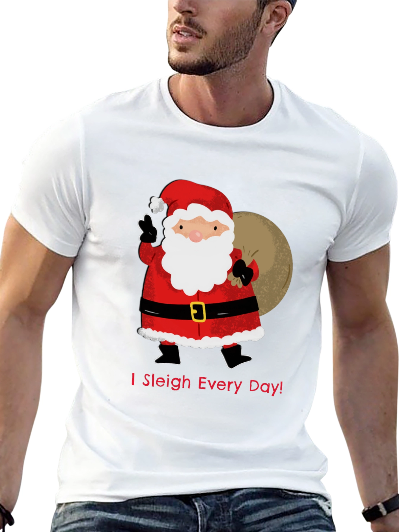 I Sleigh Every Day Santa T-Shirt